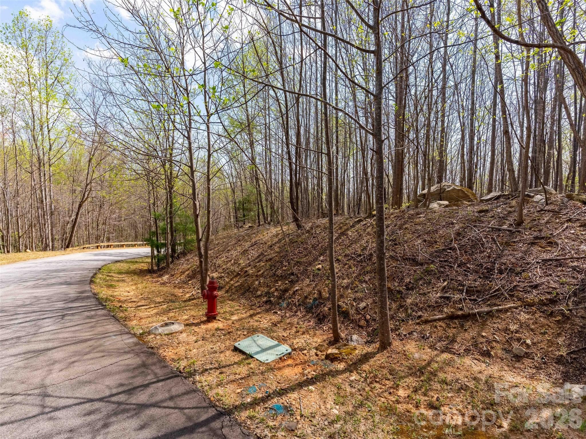 Lot at Mill Spring, photo 9 of 18