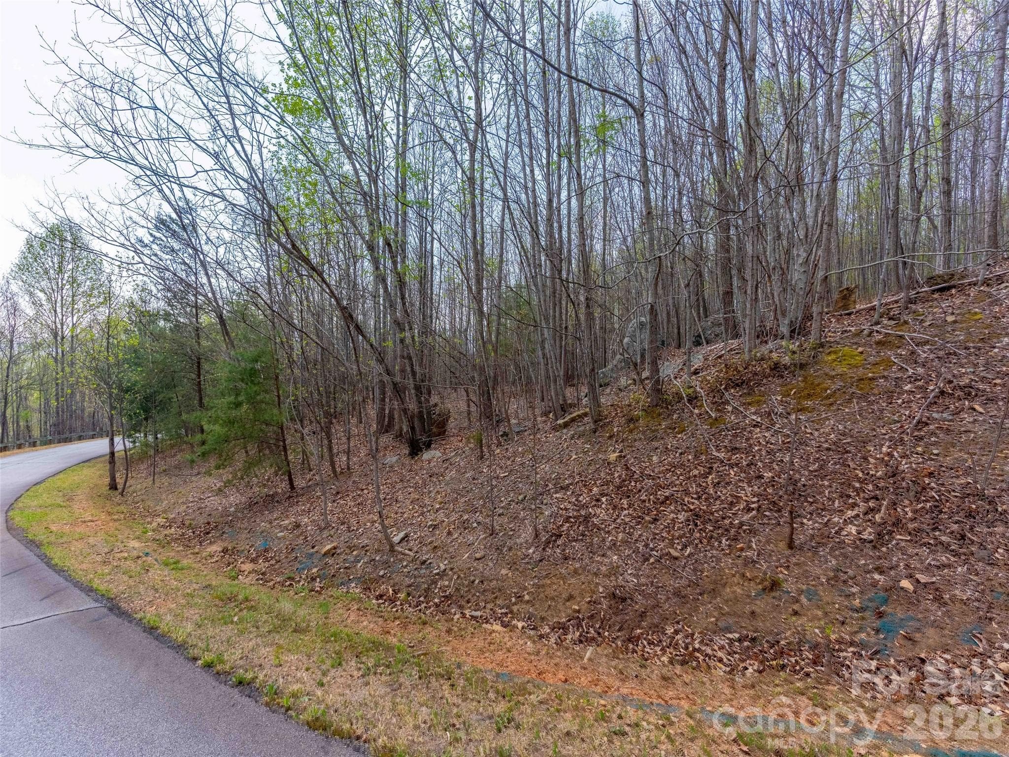 Lot at Mill Spring, photo 10 of 18