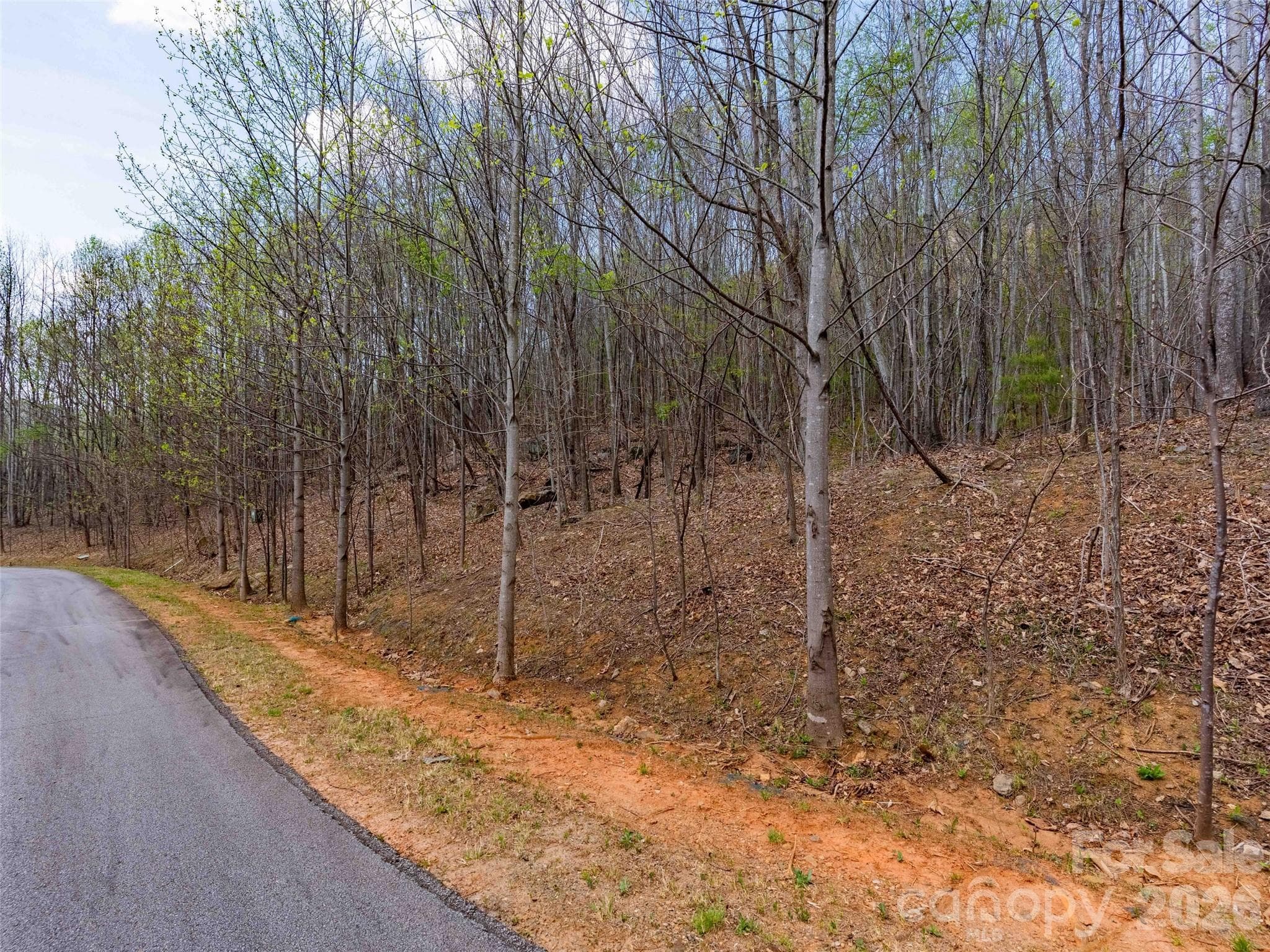 Lot at Mill Spring, photo 11 of 18
