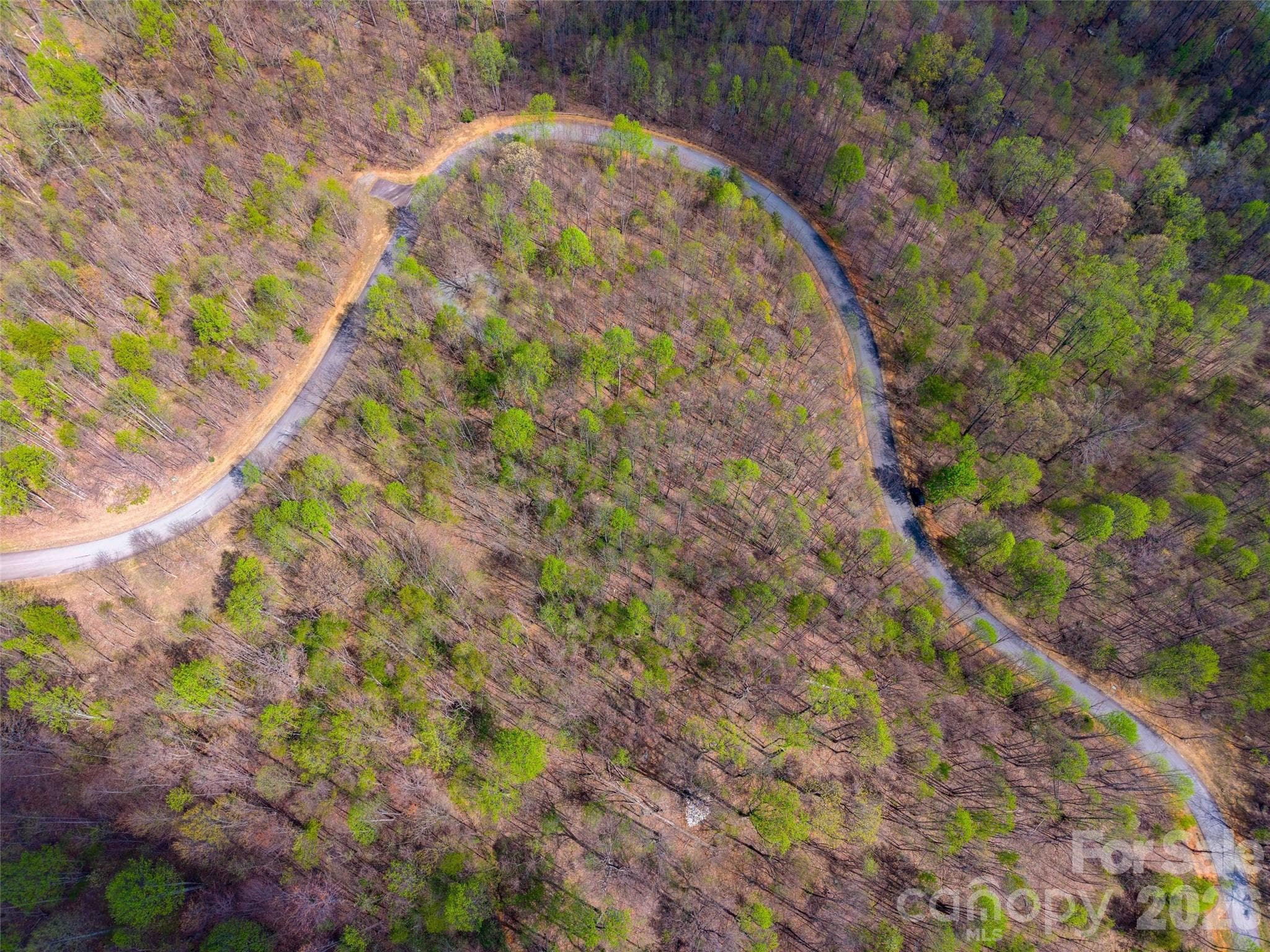 Lot at Mill Spring, photo 13 of 18