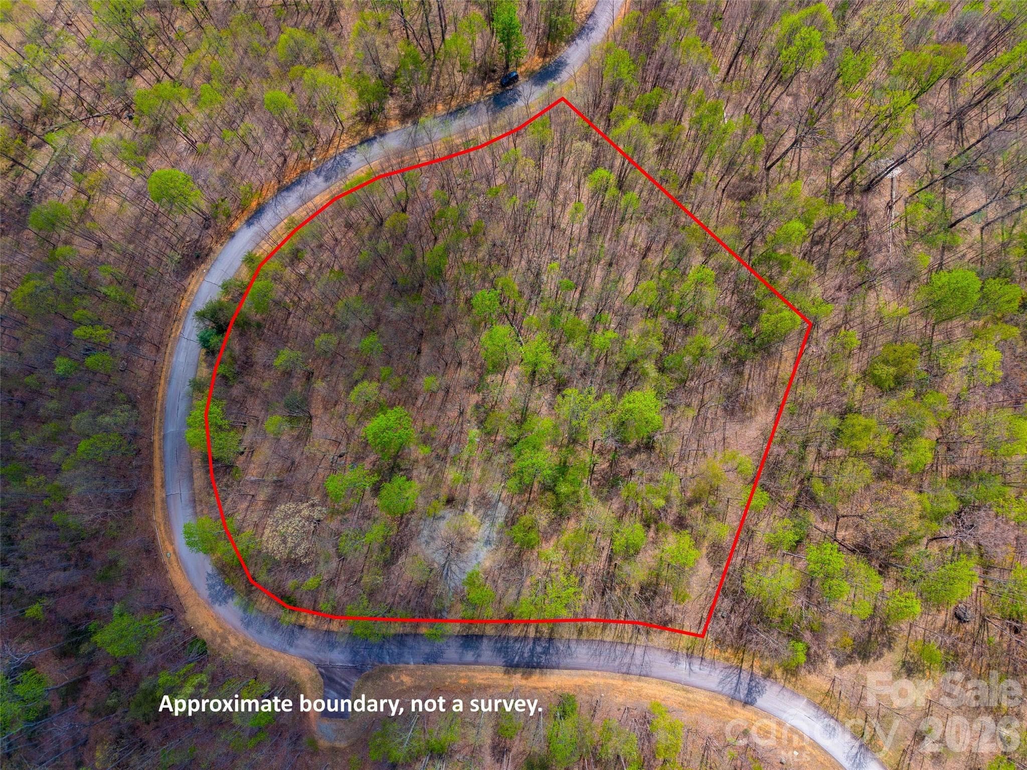 Lot at Mill Spring, photo 14 of 18