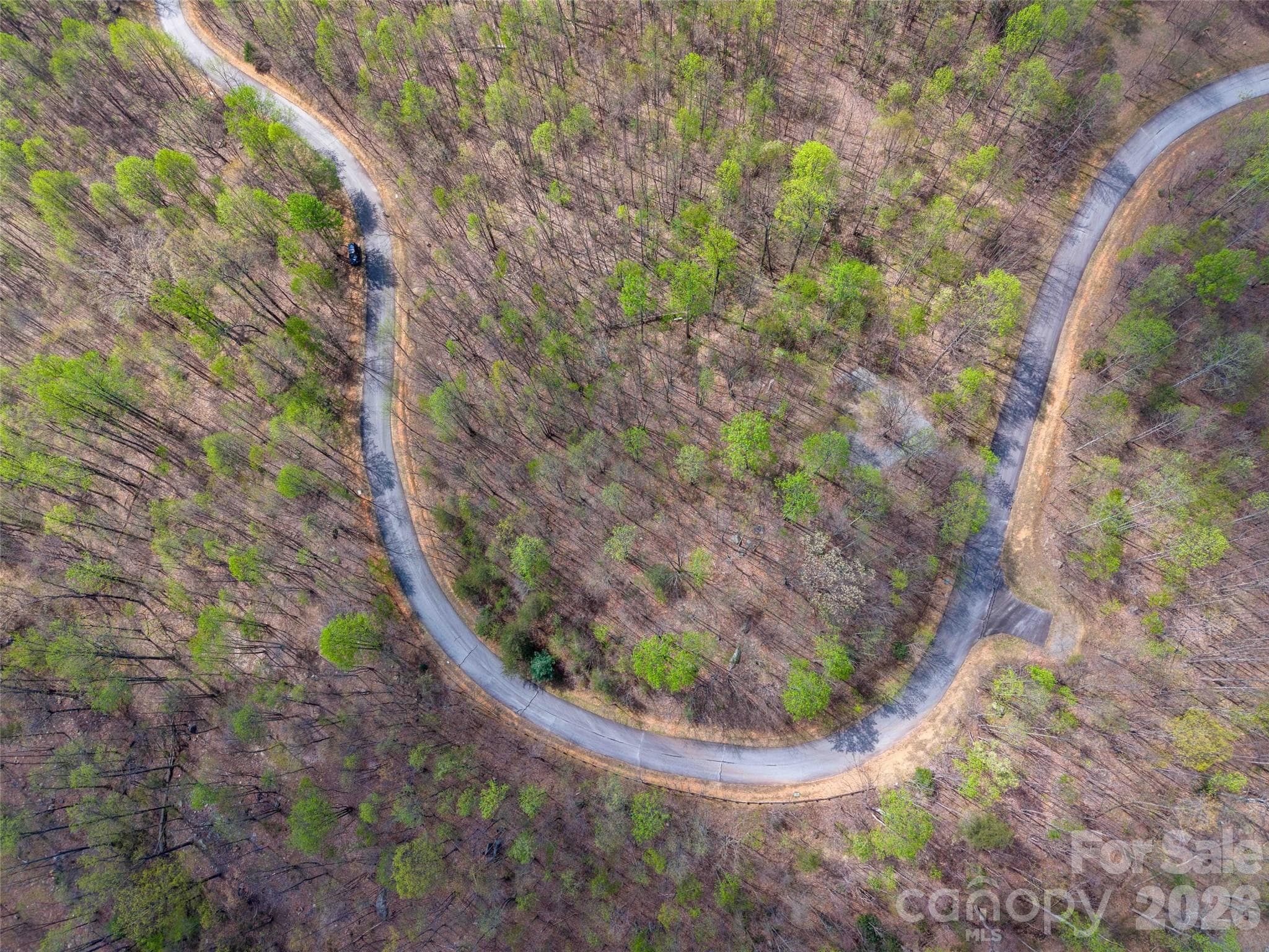 Lot at Mill Spring, photo 17 of 18