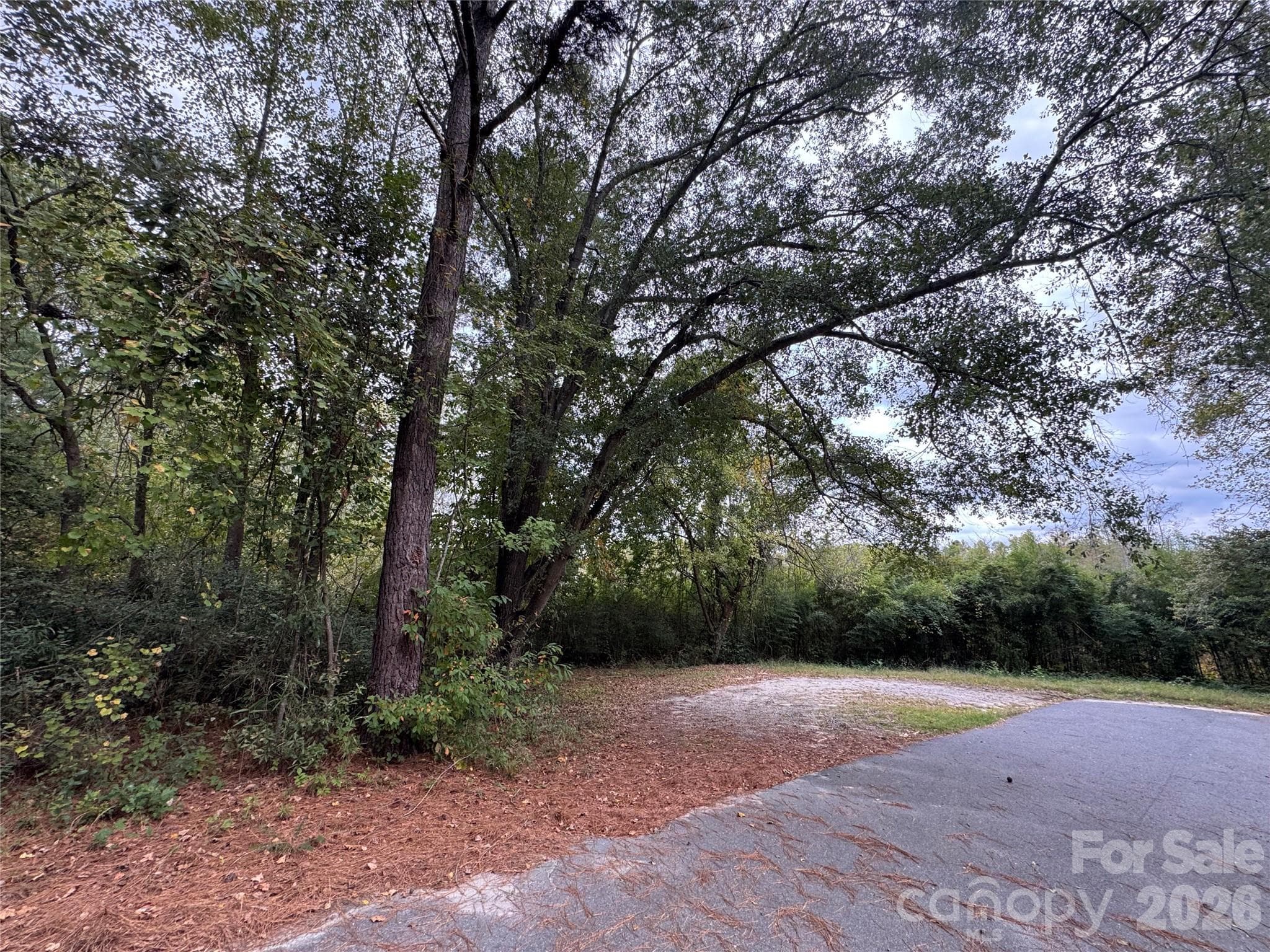 Lot at 00 ellen Drive, Hamlet, photo 2 of 6