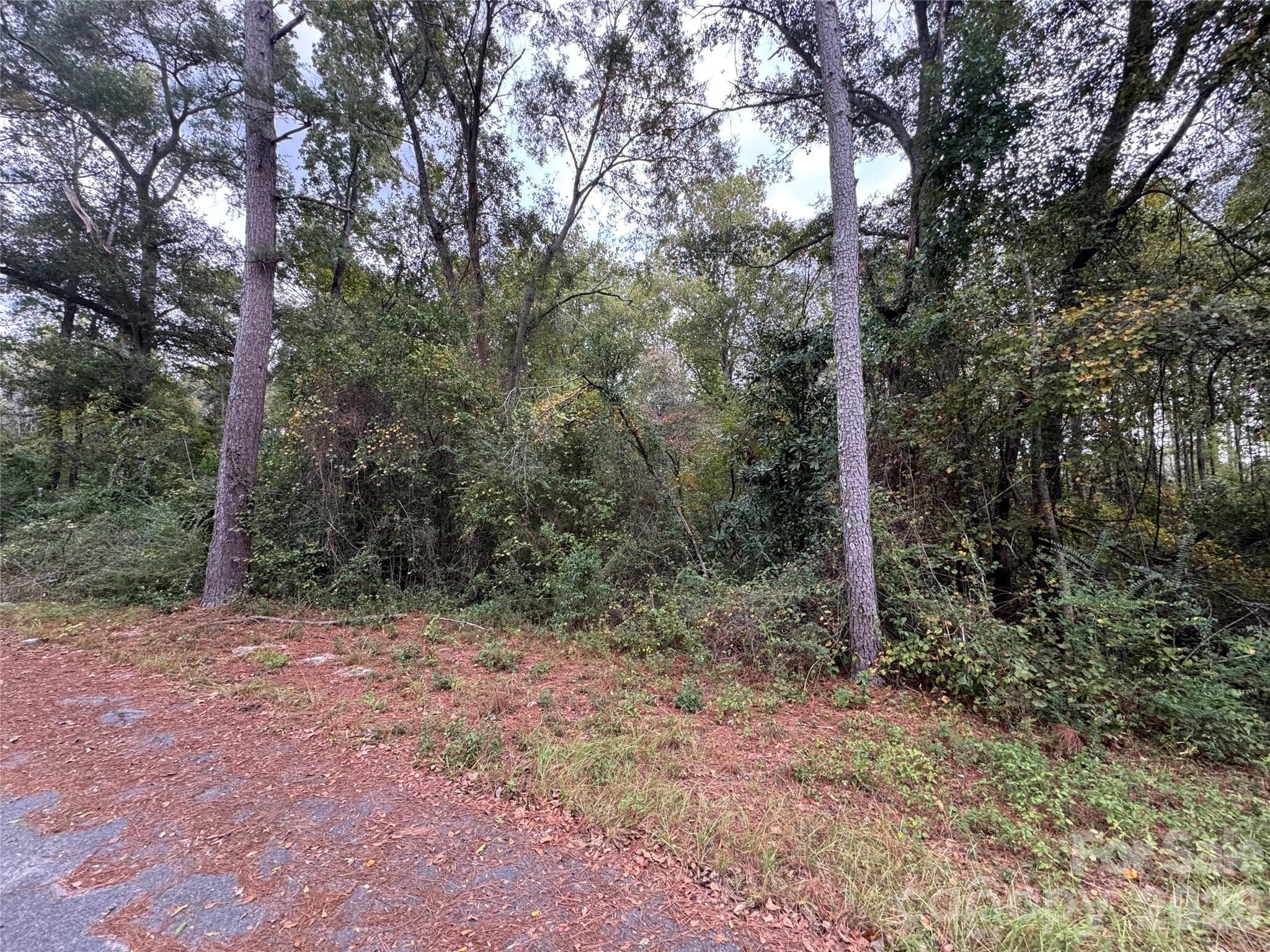 Lot at 00 ellen Drive, Hamlet, photo 4 of 6