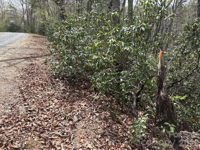 lot 291 - Lake Lure
