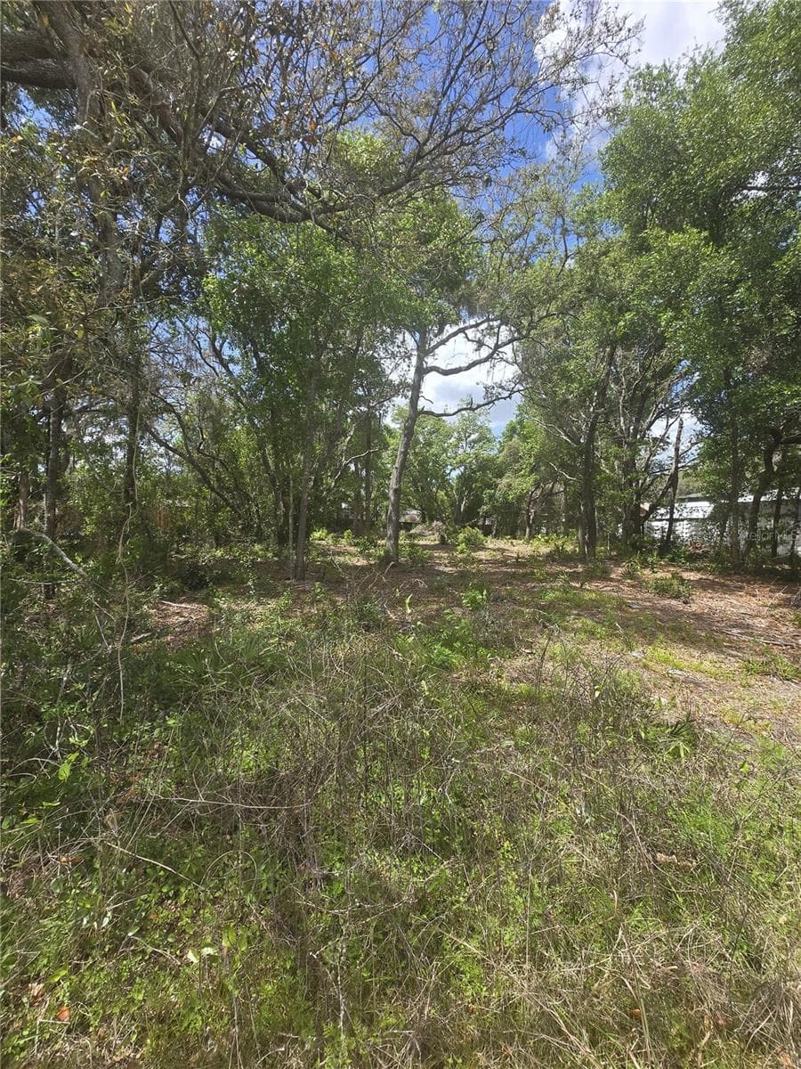 8140 WALT WILLIAMS RD