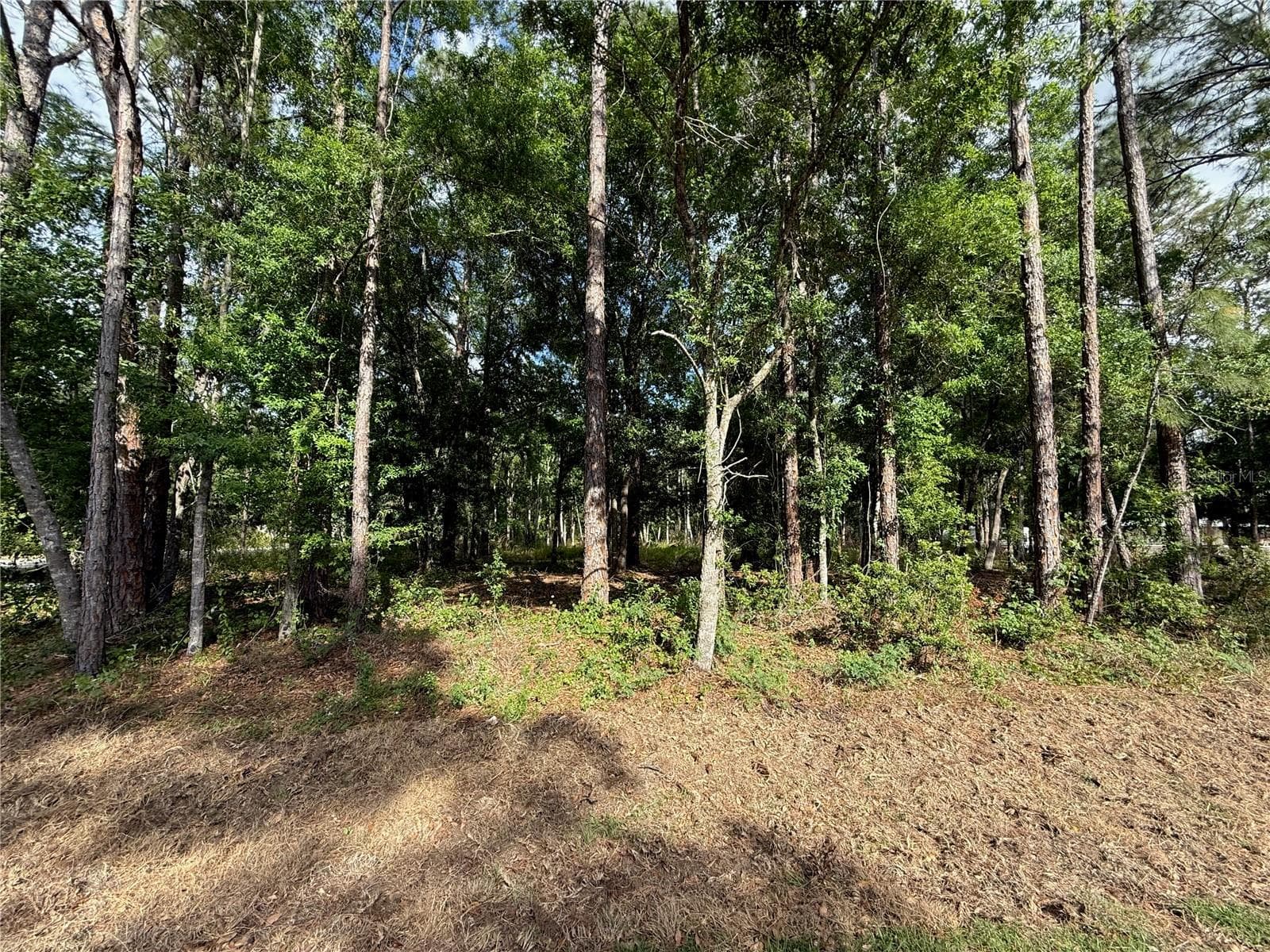 Land at QUAIL HOLLOW BLVD, WESLEY CHAPEL,, photo 5 of 16