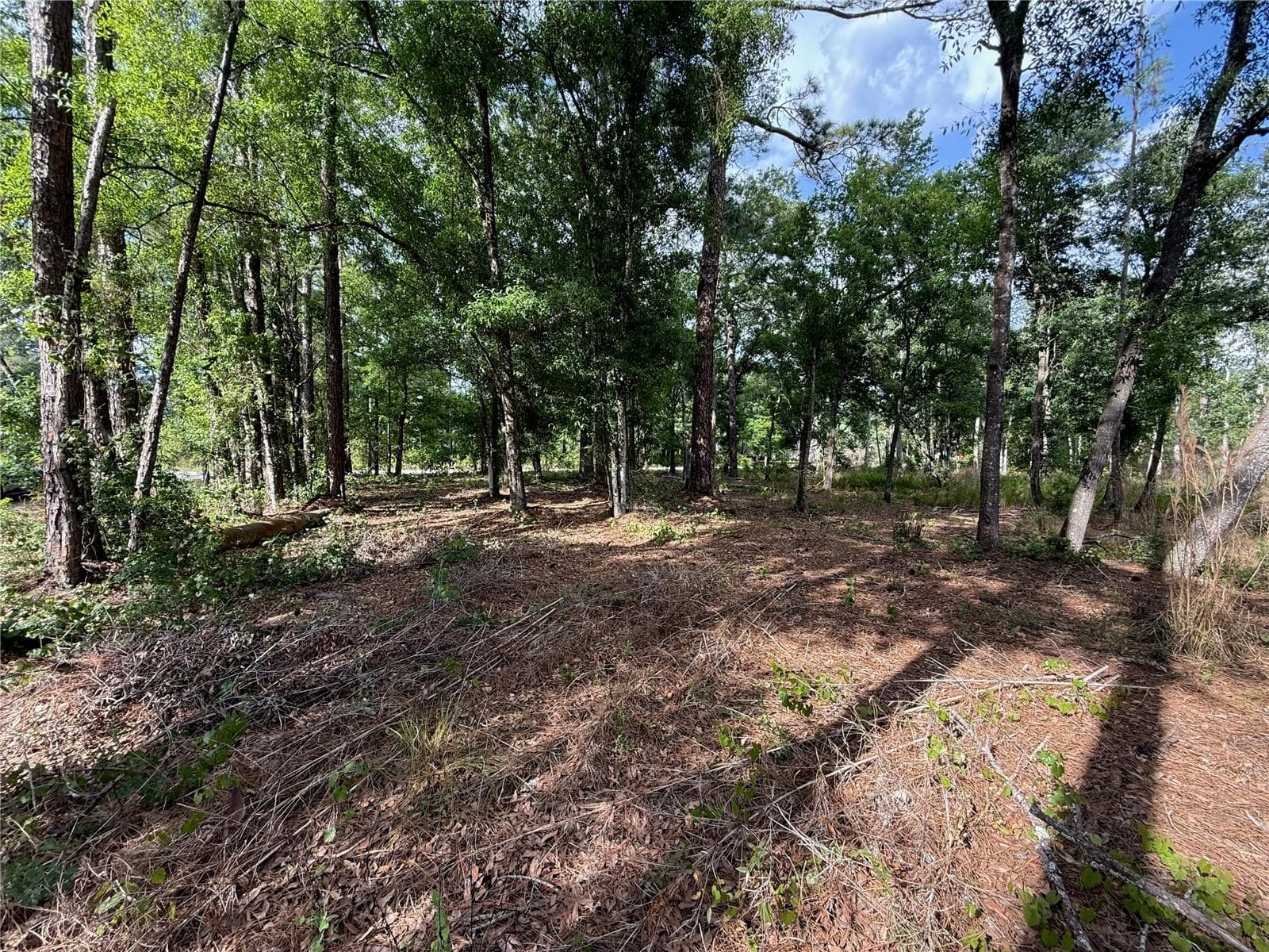 Land at QUAIL HOLLOW BLVD, WESLEY CHAPEL,, photo 6 of 16