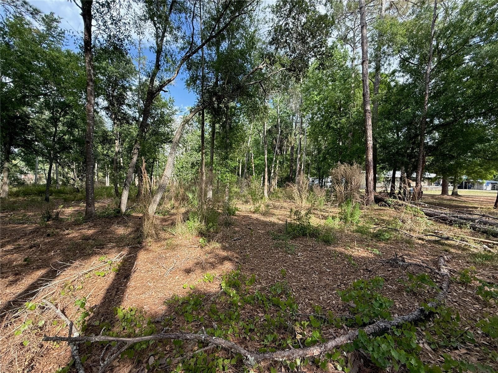 Land at QUAIL HOLLOW BLVD, WESLEY CHAPEL,, photo 8 of 16