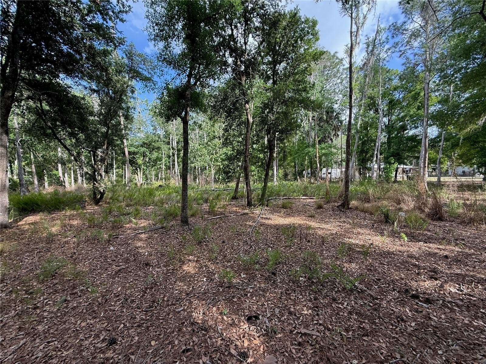 Land at QUAIL HOLLOW BLVD, WESLEY CHAPEL,, photo 9 of 16