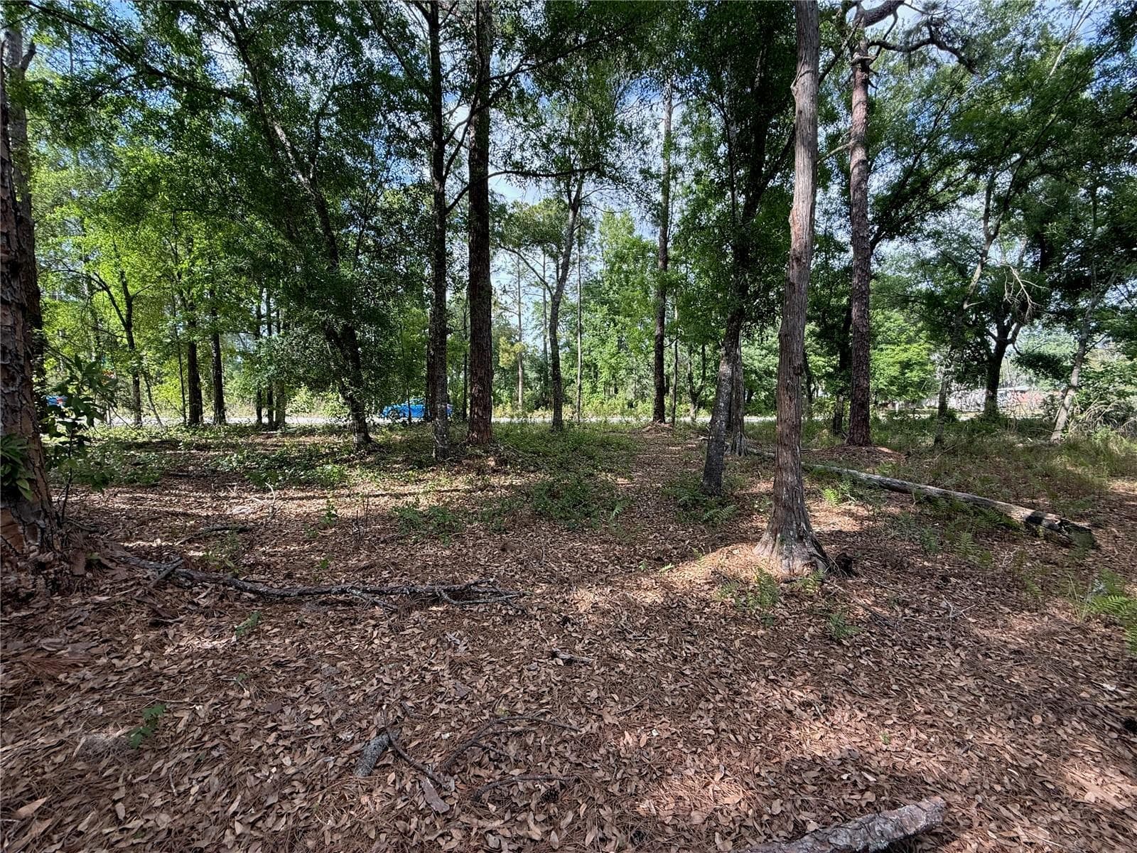 Land at QUAIL HOLLOW BLVD, WESLEY CHAPEL,, photo 11 of 16