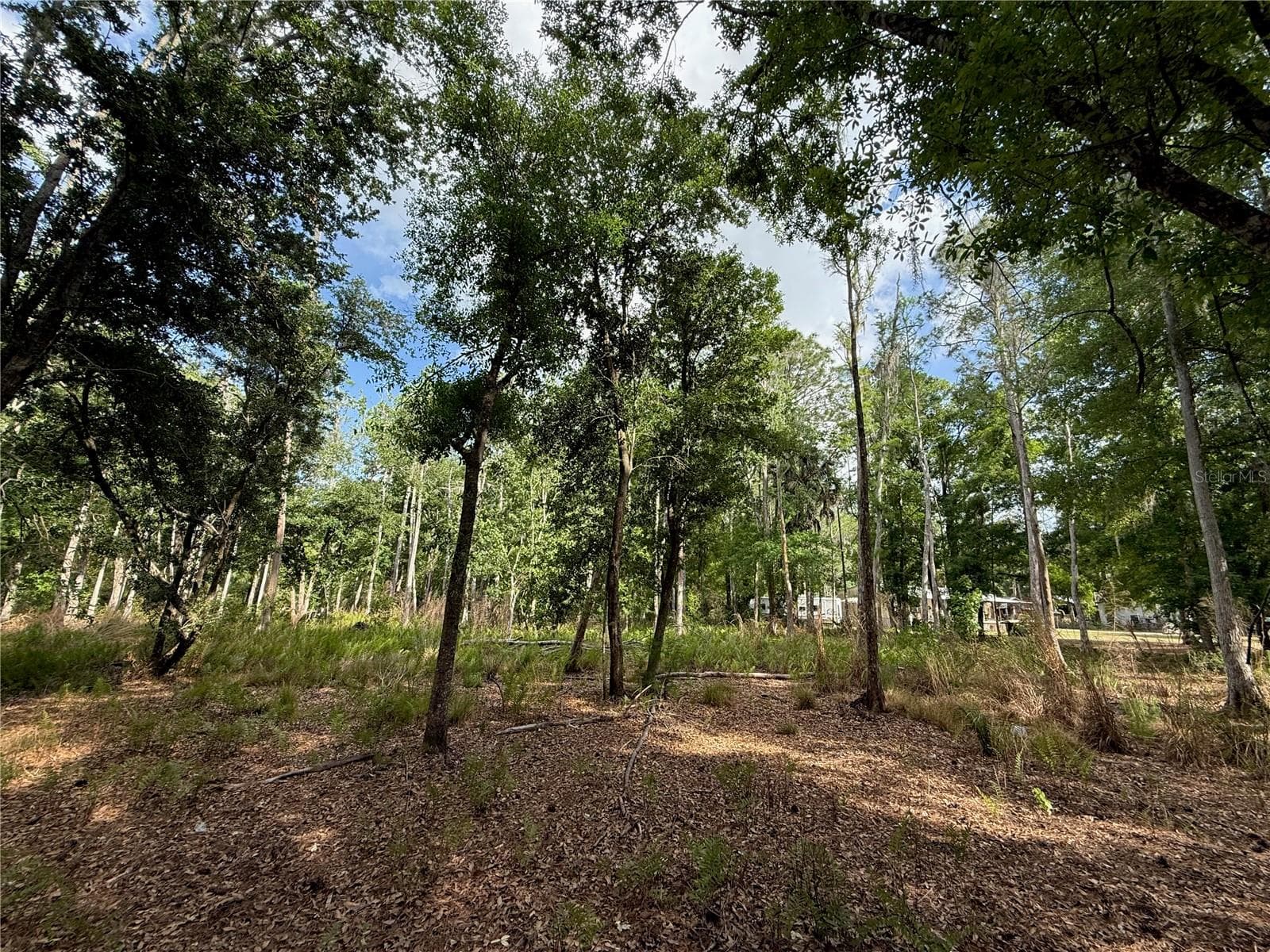 Land at QUAIL HOLLOW BLVD, WESLEY CHAPEL,, photo 12 of 16
