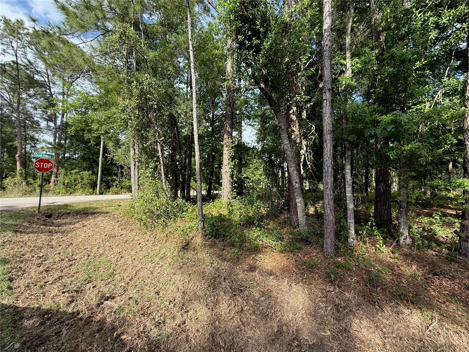Land at QUAIL HOLLOW BLVD, WESLEY CHAPEL,, photo 13 of 16