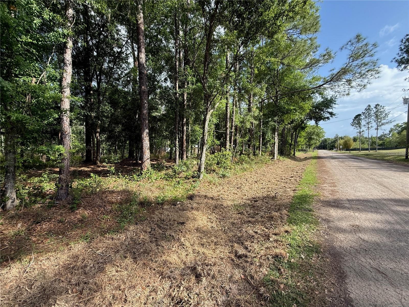 Land at QUAIL HOLLOW BLVD, WESLEY CHAPEL,, photo 14 of 16