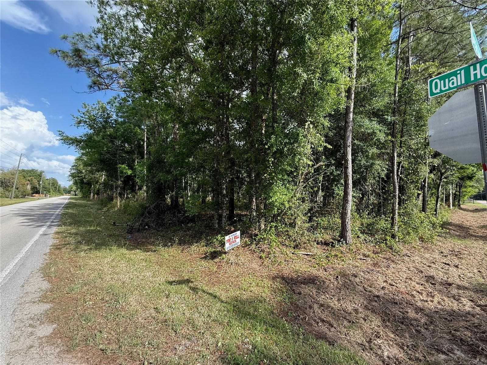 Land at QUAIL HOLLOW BLVD, WESLEY CHAPEL,, photo 15 of 16