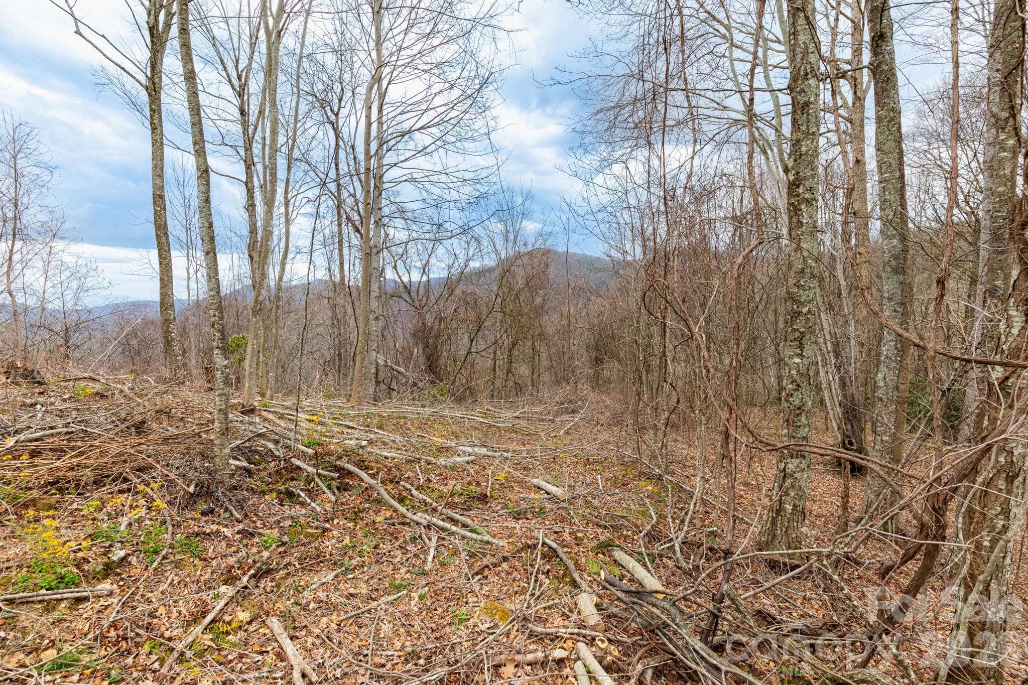 Lot at Clyde, photo 4 of 15