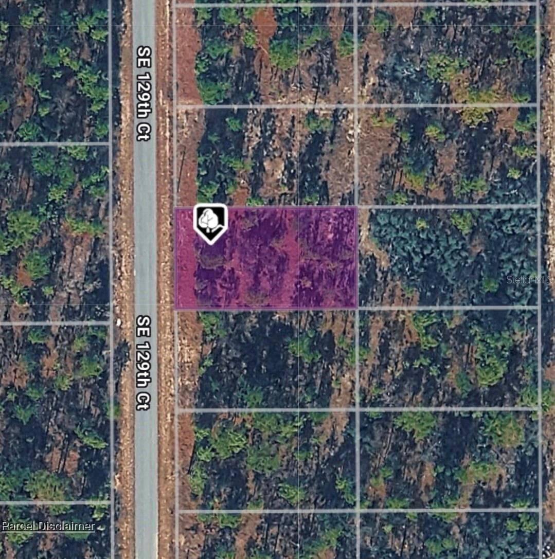 Land at LOT 14 SE 129TH CT, DUNNELLON, photo 3 of 6