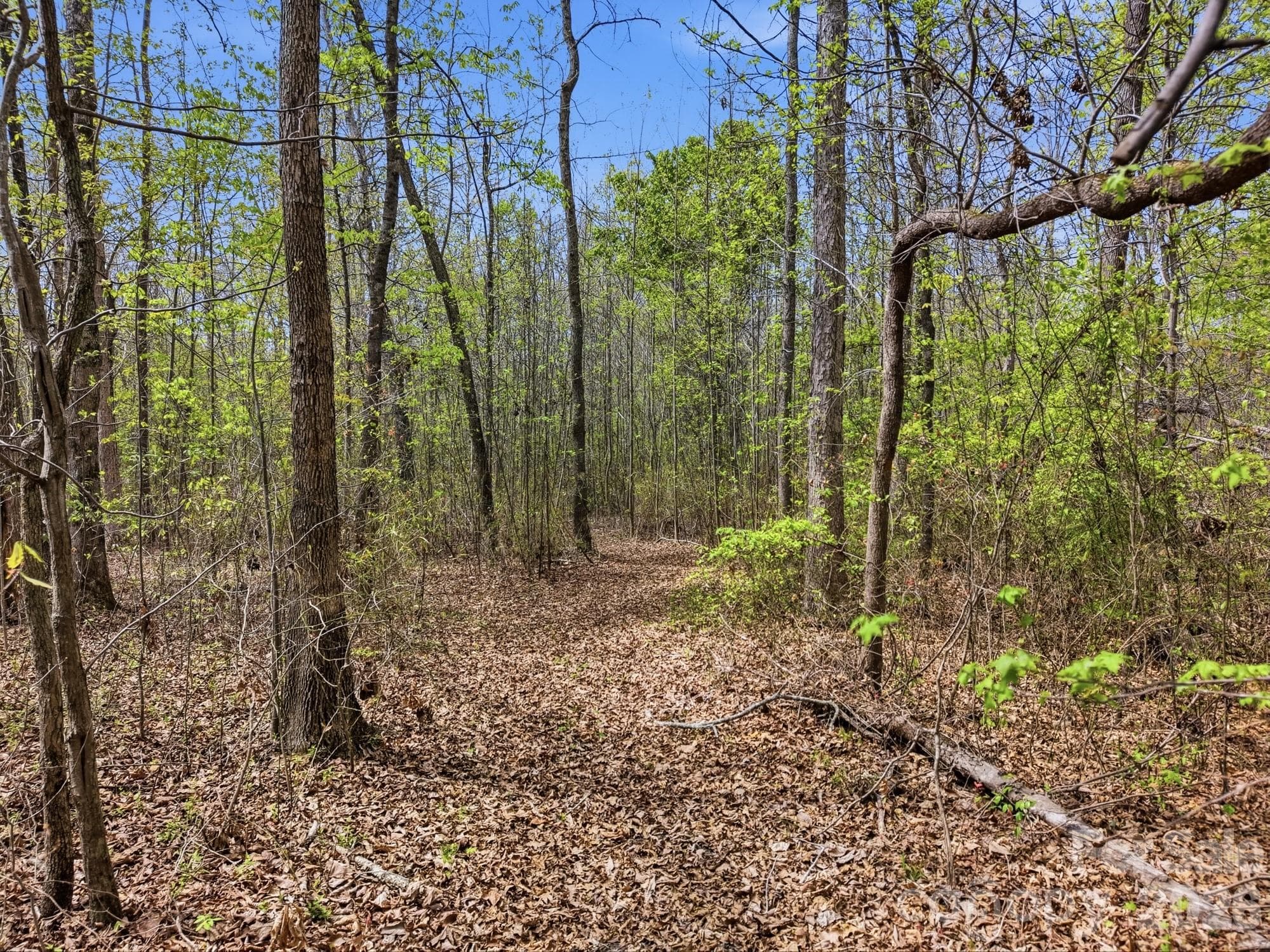 Acreage at 00 County Line Road, Kings Mountain, photo 11 of 12
