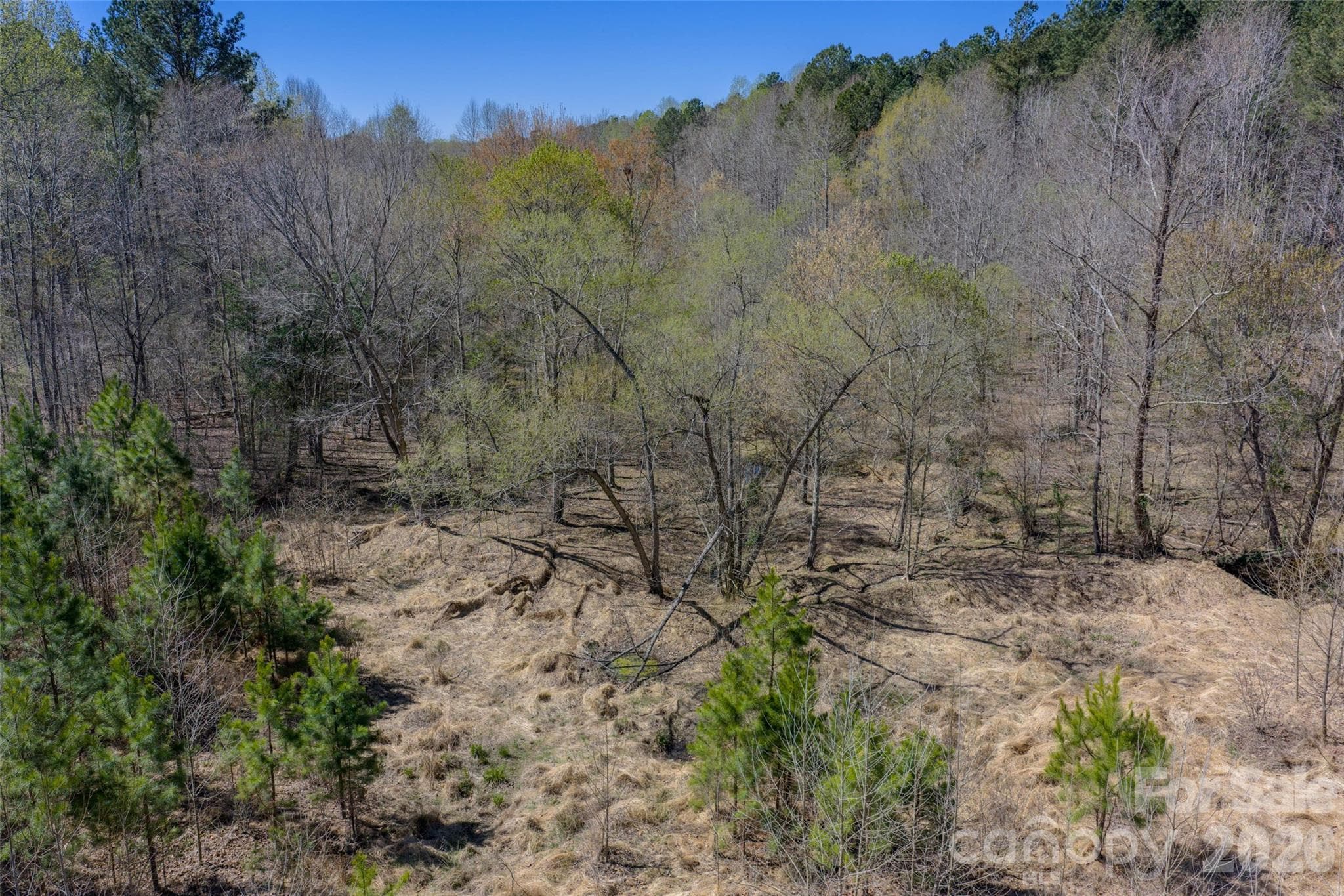 Acreage at Mebane, photo 12 of 12