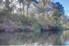 Land at 9249-9297 CARR RD, RIVERVIEW, photo 3 of 3