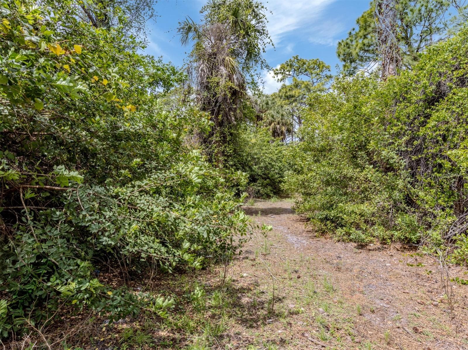 Land at 400 S HAVANA RD, VENICE, photo 19 of 59