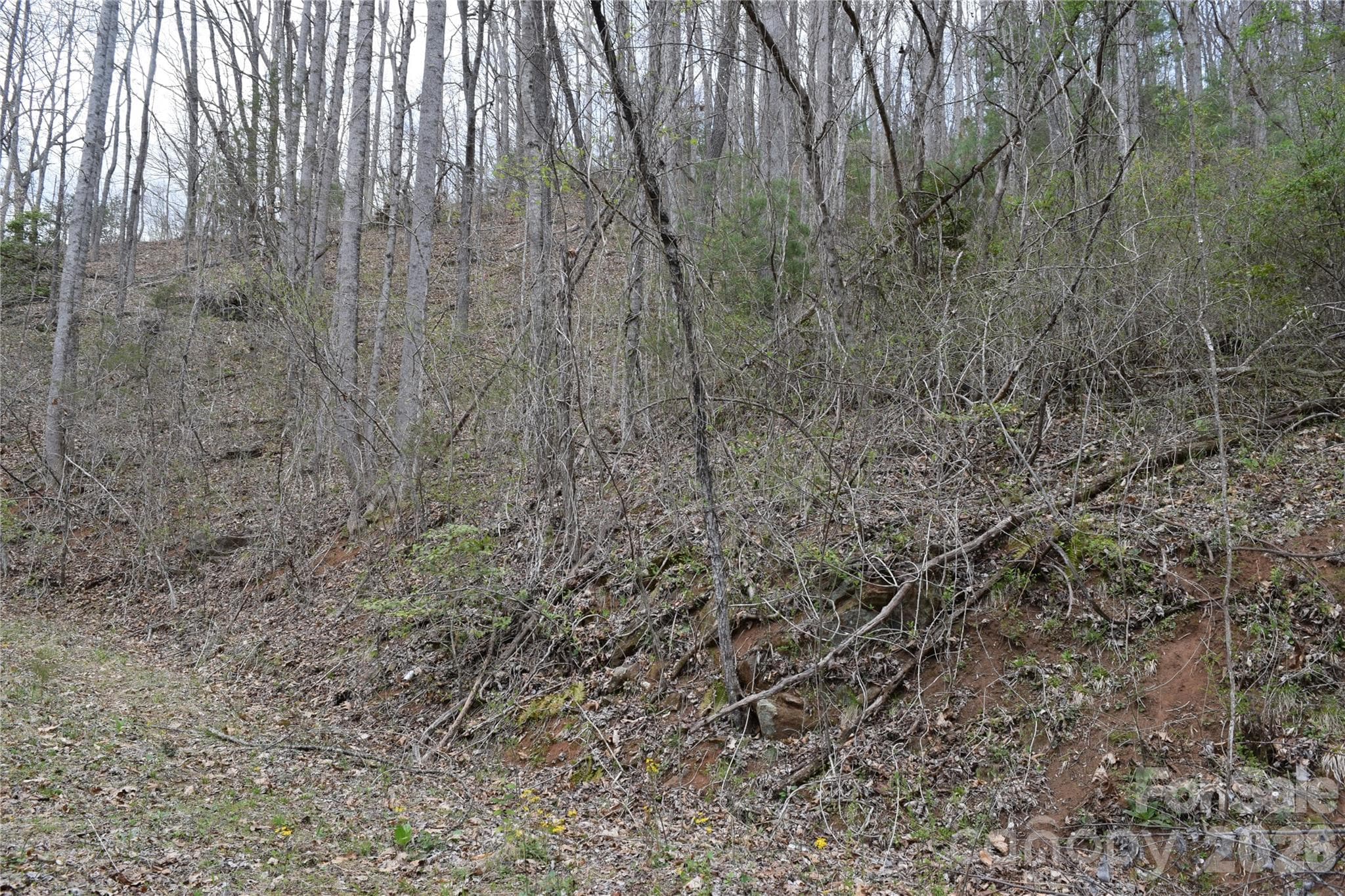 Lot 20, PIN 7559-94-9617 - TBD Bel Air Road, Cullowhee