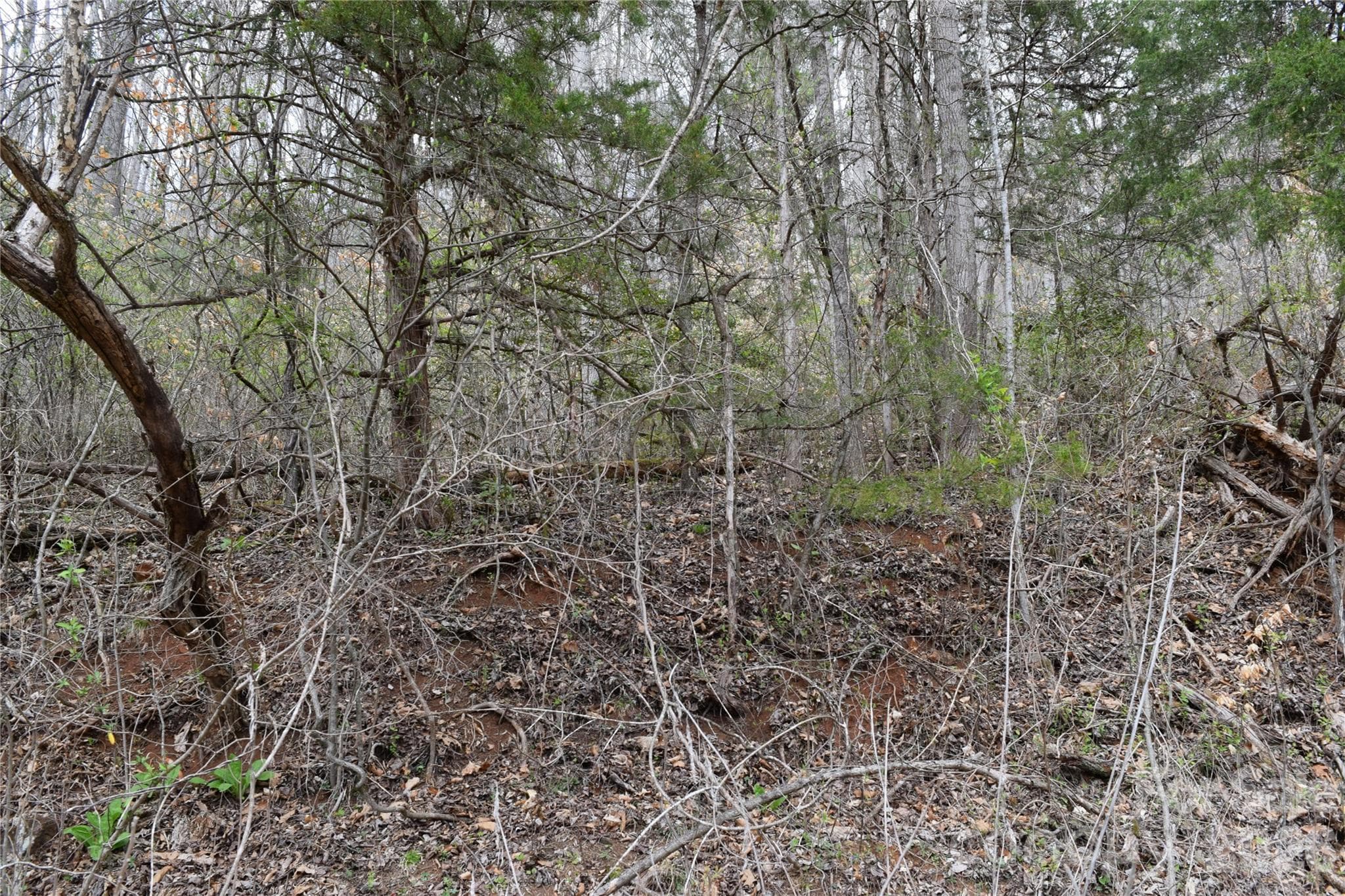 Lot 20, PIN 7559-94-9617 - TBD Bel Air Road, Cullowhee