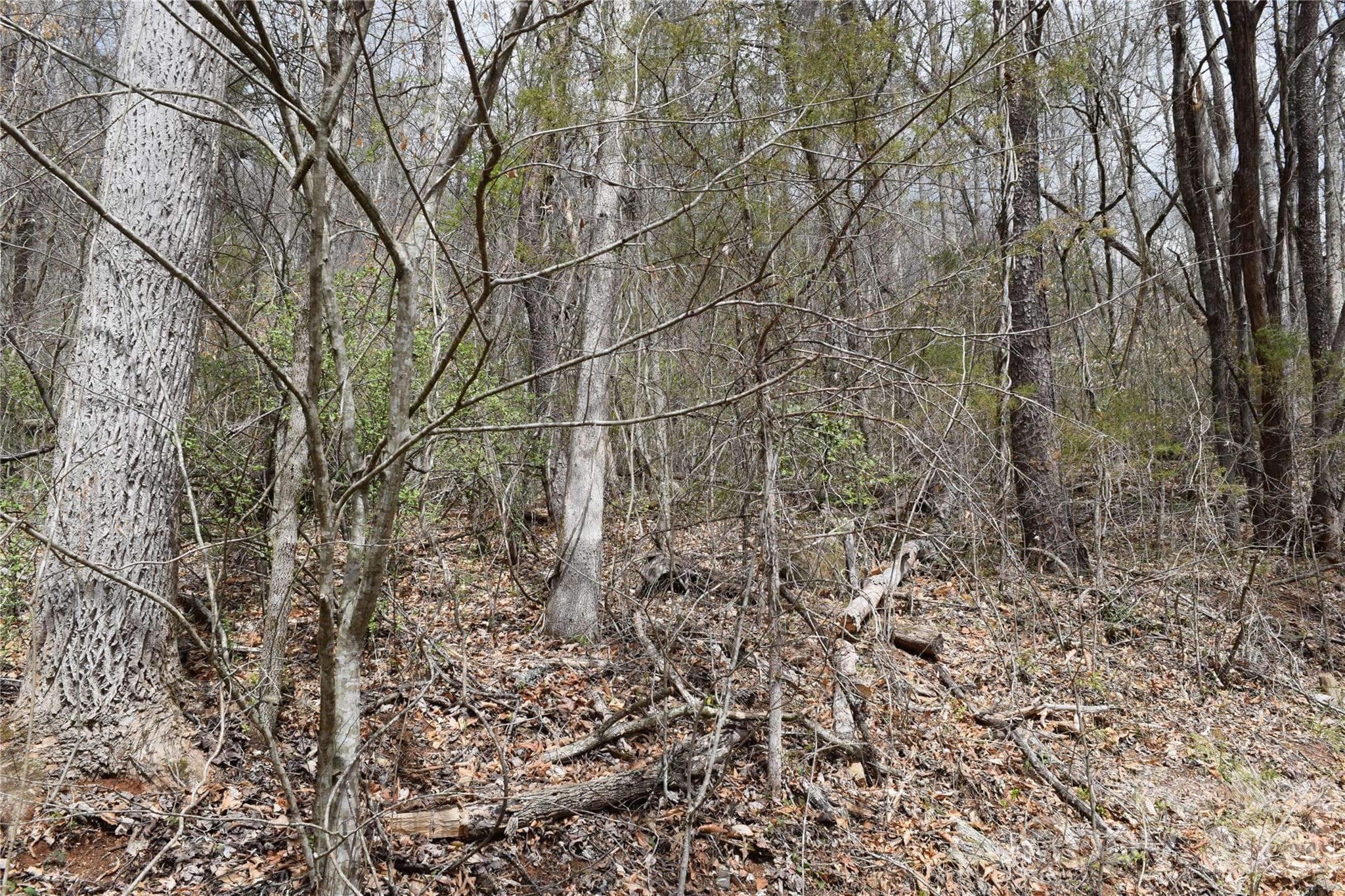Lot 20, PIN 7559-94-9617 - TBD Bel Air Road, Cullowhee