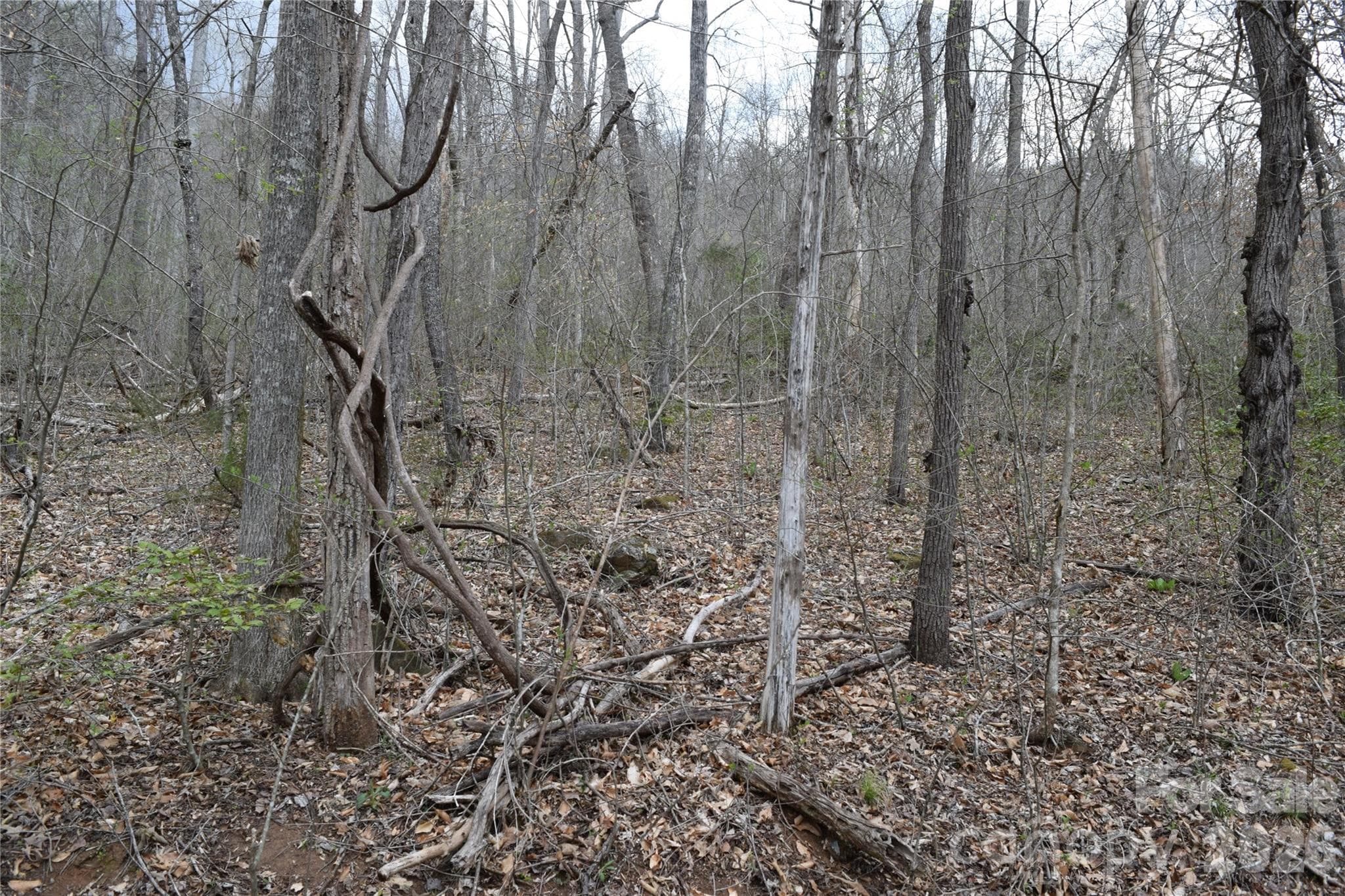 PIN 7569-04-1739, part of 5.21 acres, Lots 18-19,31-33 - TBD Bel Air Road, Cullowhee