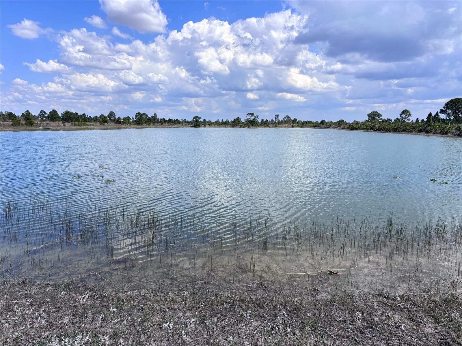 Another Lake view on 30 acres. - 48033 BERMONT RD, PUNTA GORDA