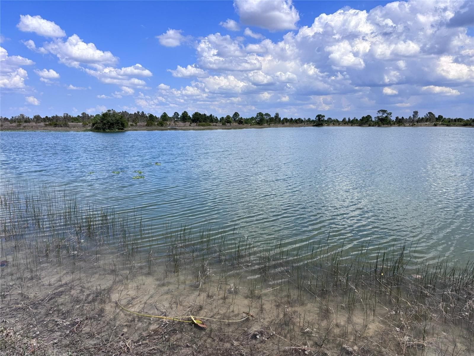 Lake view on 30 acres. 7+ acres lake - 48033 BERMONT RD, PUNTA GORDA