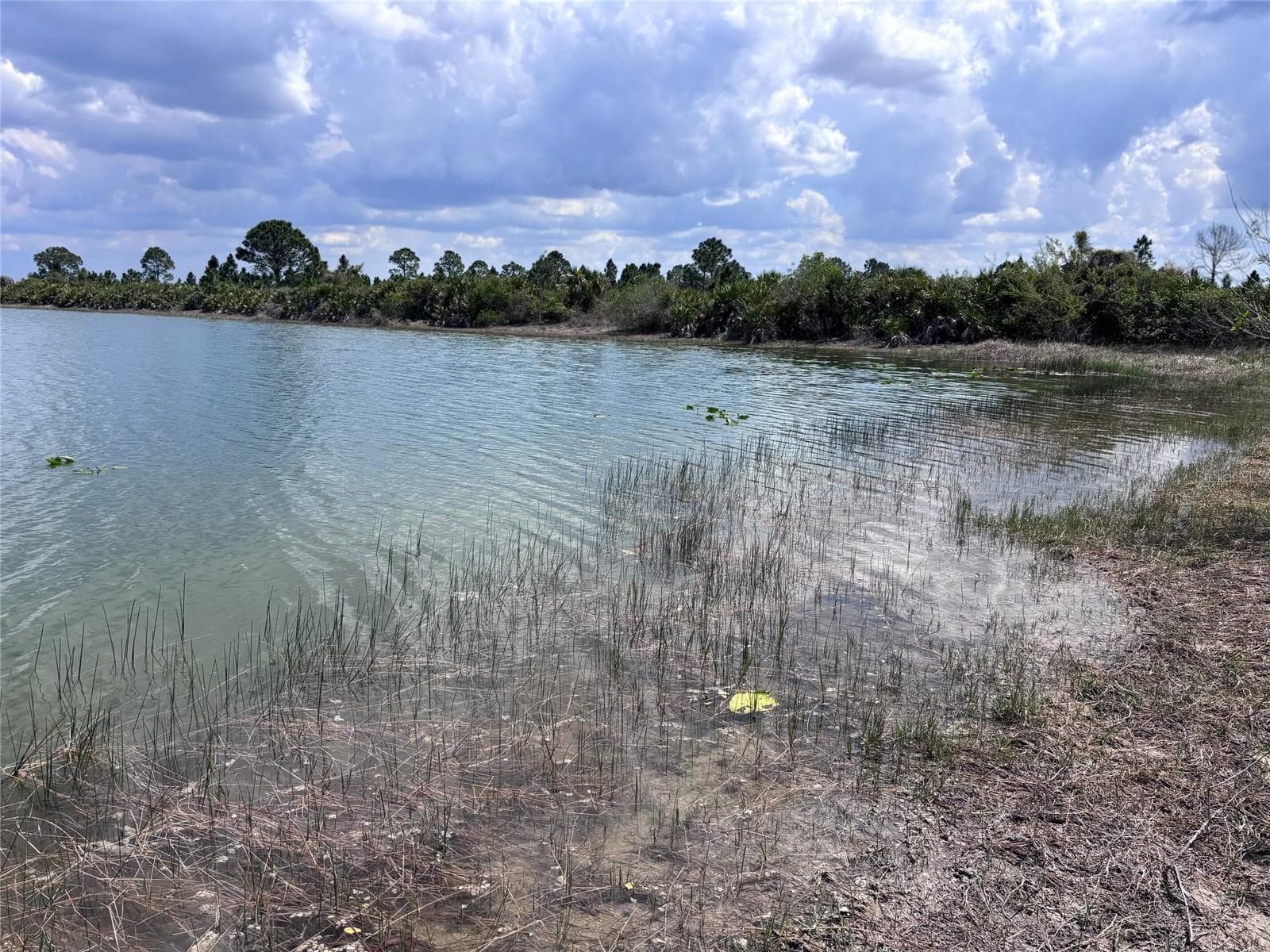 Land at 48033 BERMONT RD, PUNTA GORDA, photo 16 of 28