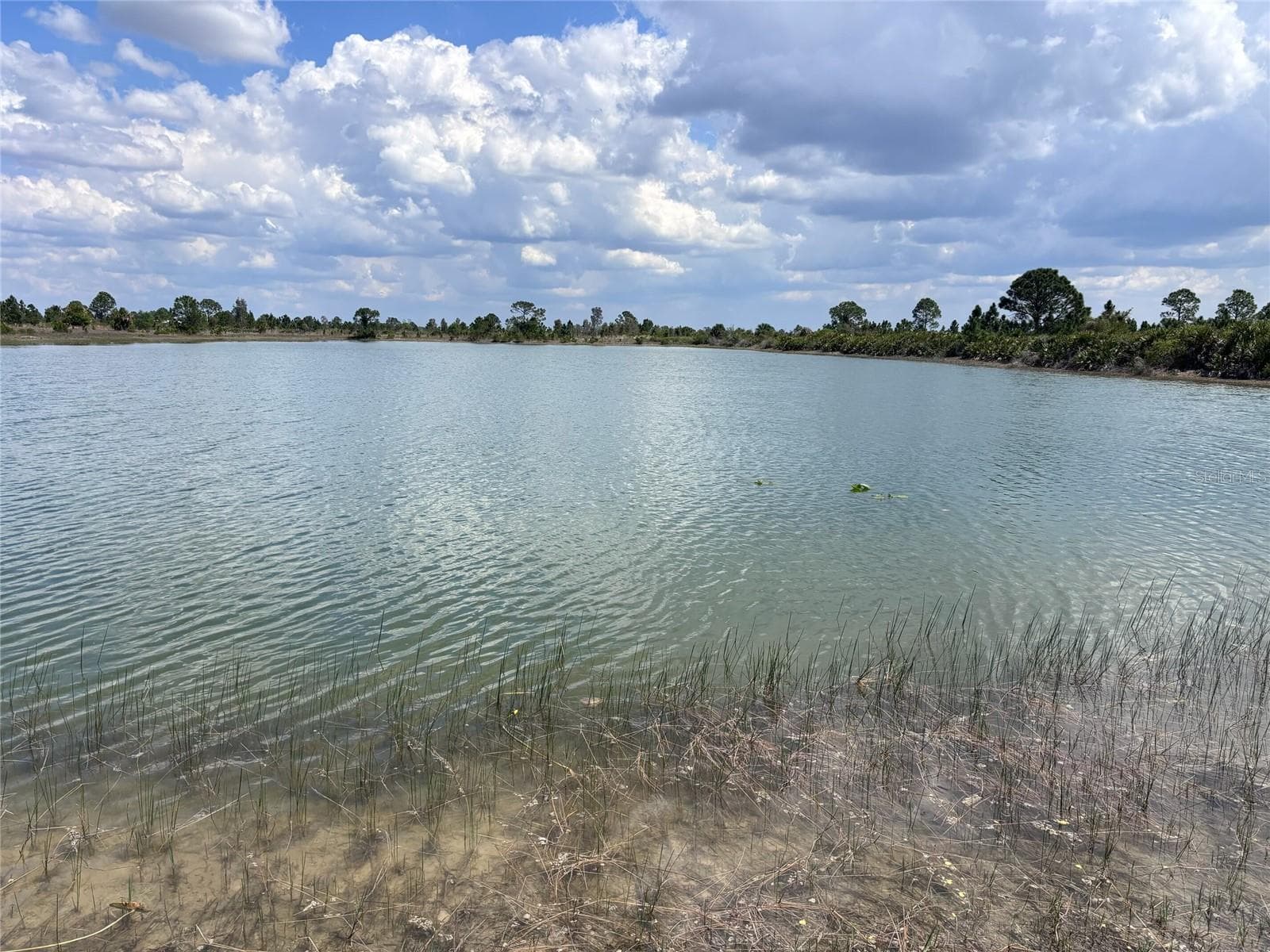 Land at 48033 BERMONT RD, PUNTA GORDA, photo 20 of 28