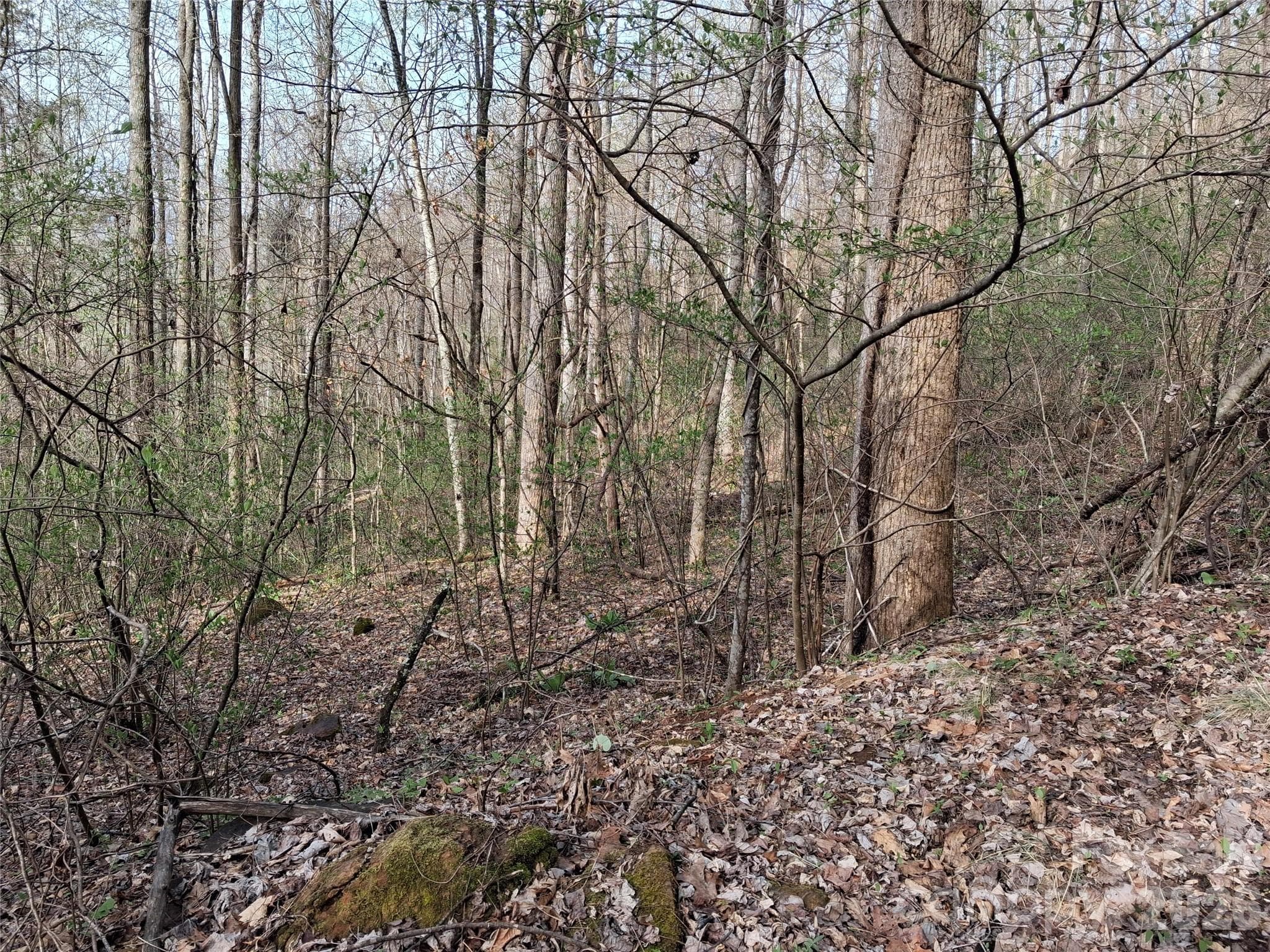 PIN 7569-04-1739, part of 5.21 acres, Lots 18-19,31-33 - TBD Bel Air Road, Cullowhee