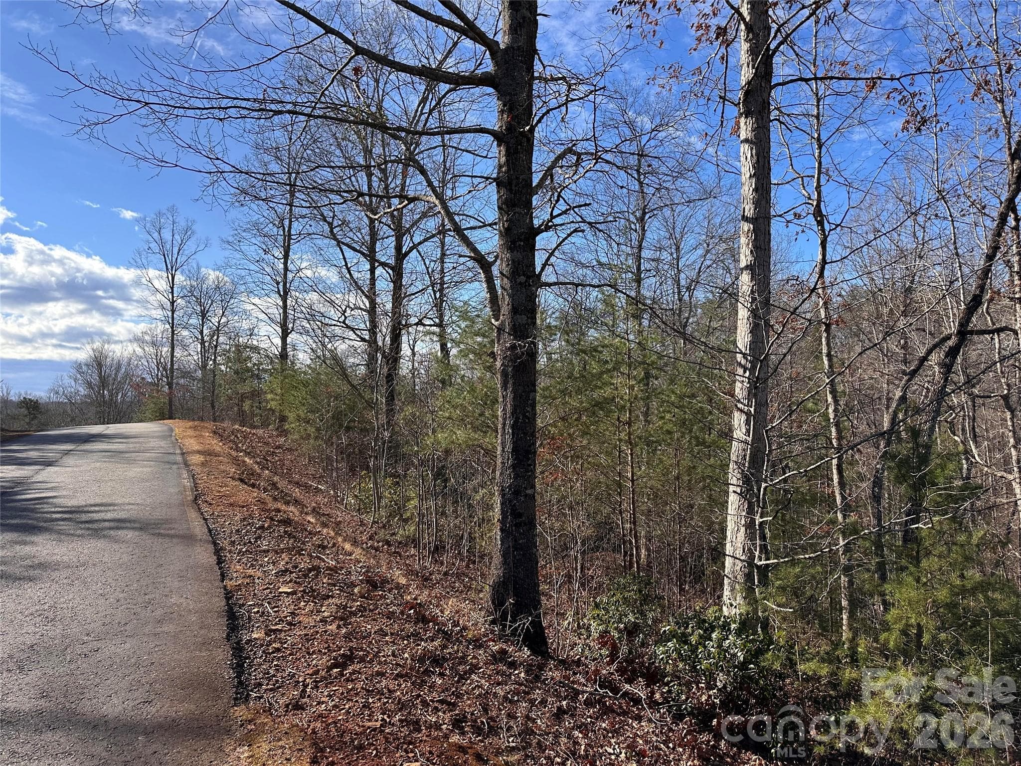 Lot 343 Southern view - Lake Lure