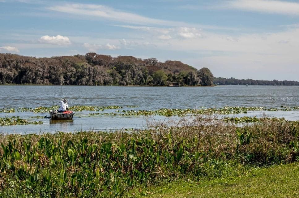 Near the Chain of Harris Lakes Kayaking, fishing, boating and much more - 8595 OAKSTONE CIR, LEESBURG