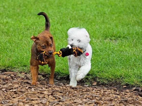 You will love the dog parks, sidewalks, and green space - 8595 OAKSTONE CIR, LEESBURG