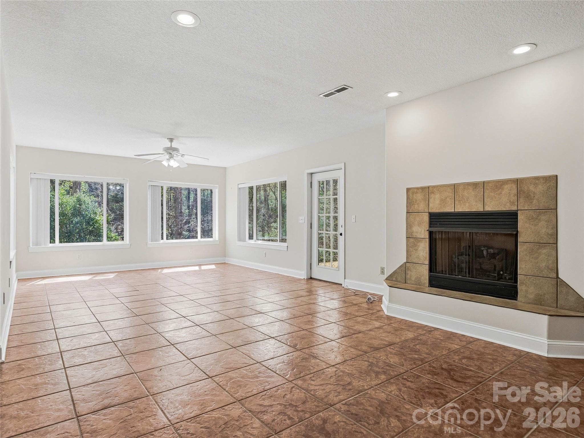 Walkout basement with Gas Fireplace - 196 Blackbird Lane, Tryon