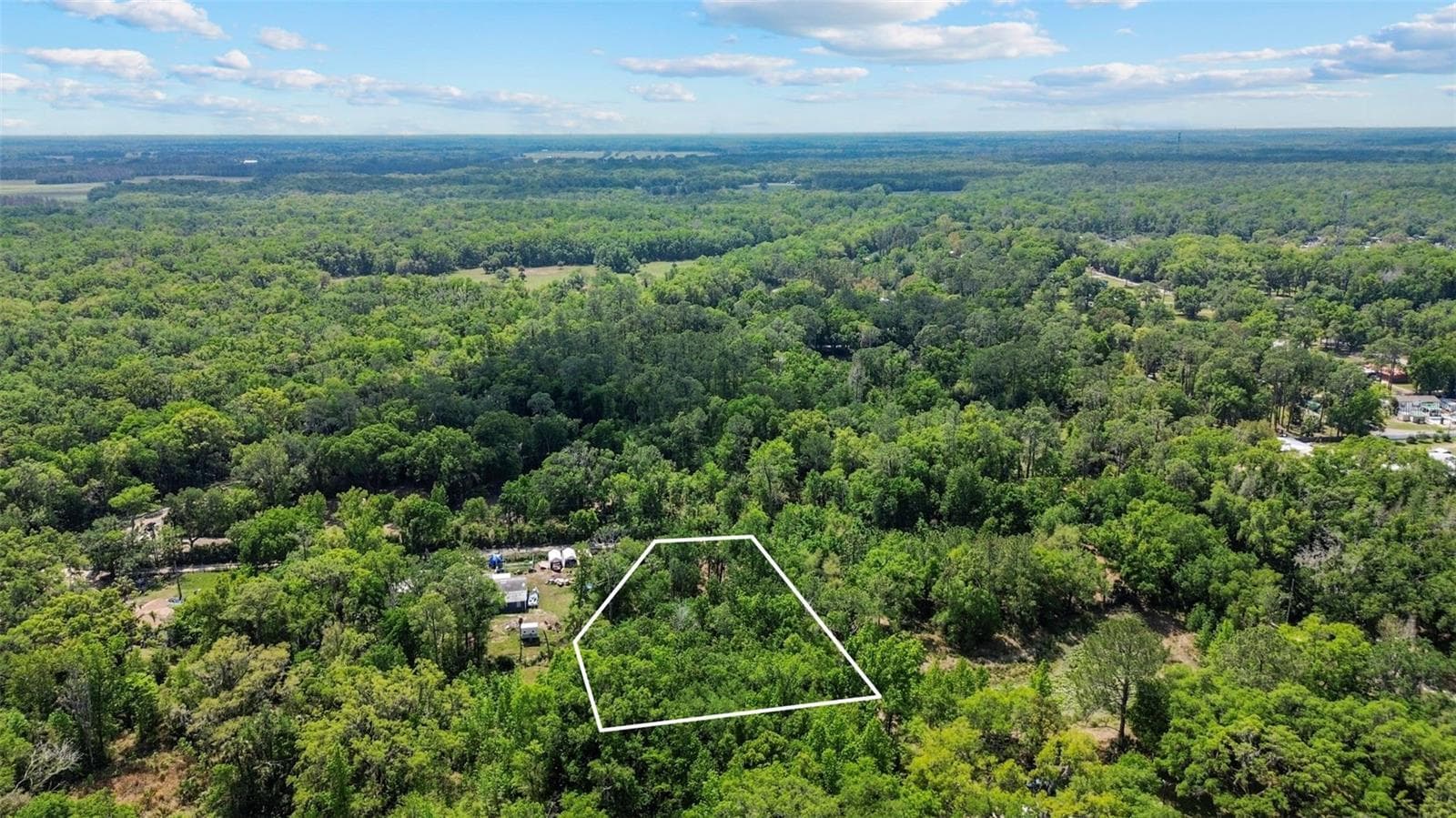 1.56 Acres - Thonotosassa - Land for sale - 0 MUDDY WATER TRL, THONOTOSASSA