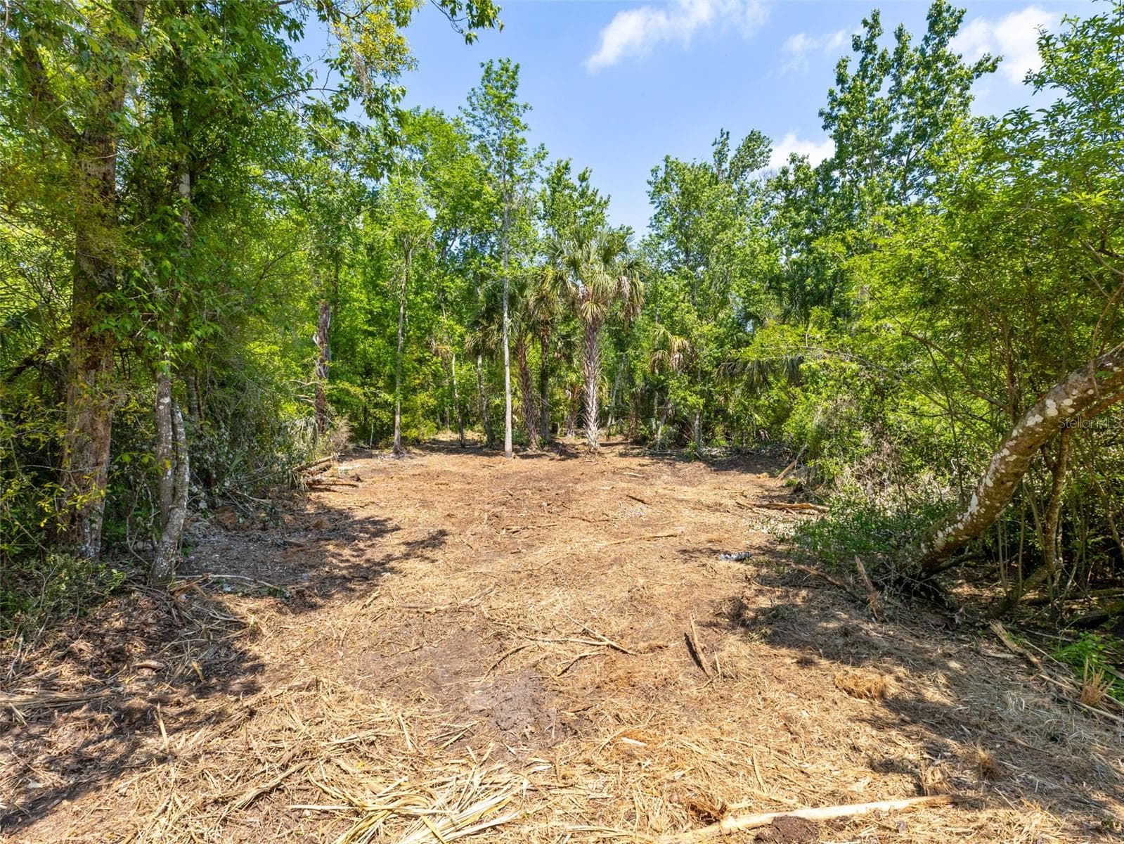 Land at 0 MUDDY WATER TRL, THONOTOSASSA, photo 4 of 34