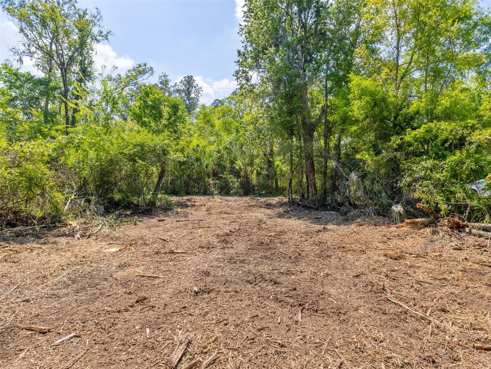 Land at 0 MUDDY WATER TRL, THONOTOSASSA, photo 5 of 34