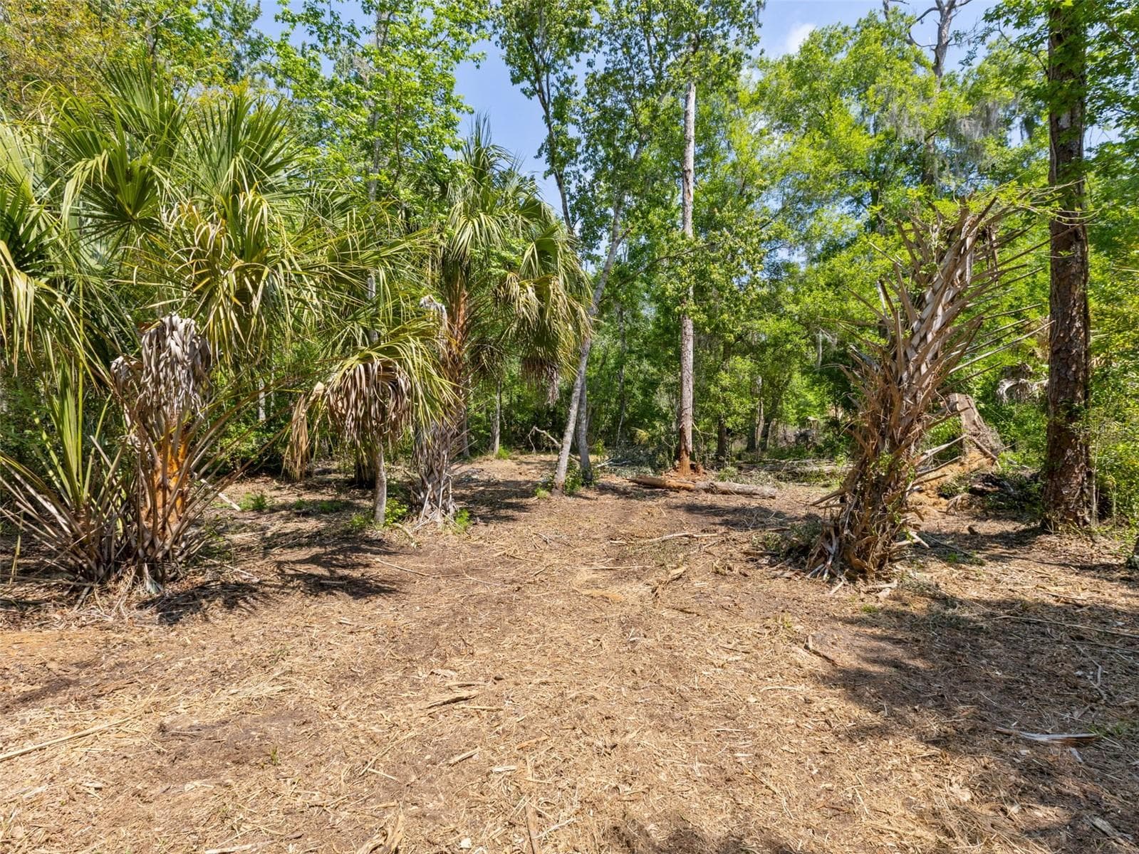 Land at 0 MUDDY WATER TRL, THONOTOSASSA, photo 6 of 34