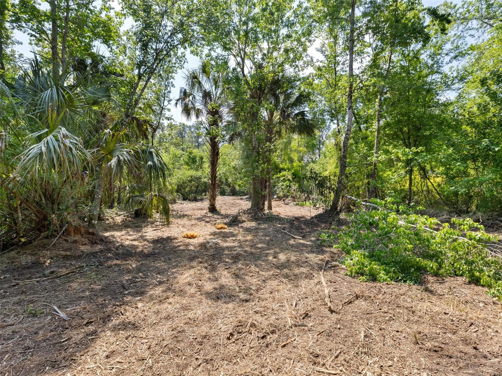Land at 0 MUDDY WATER TRL, THONOTOSASSA, photo 7 of 34