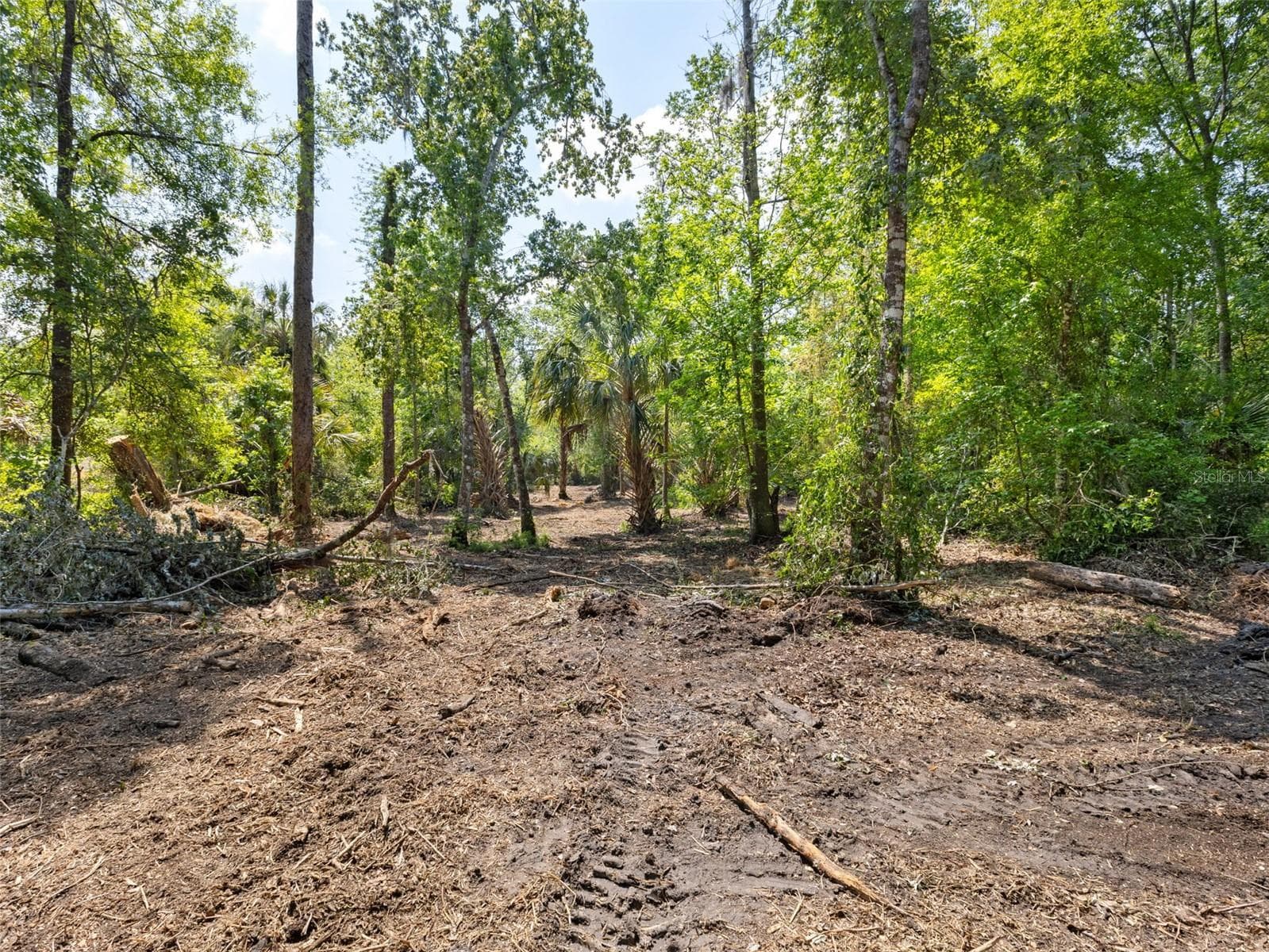 Land at 0 MUDDY WATER TRL, THONOTOSASSA, photo 8 of 34