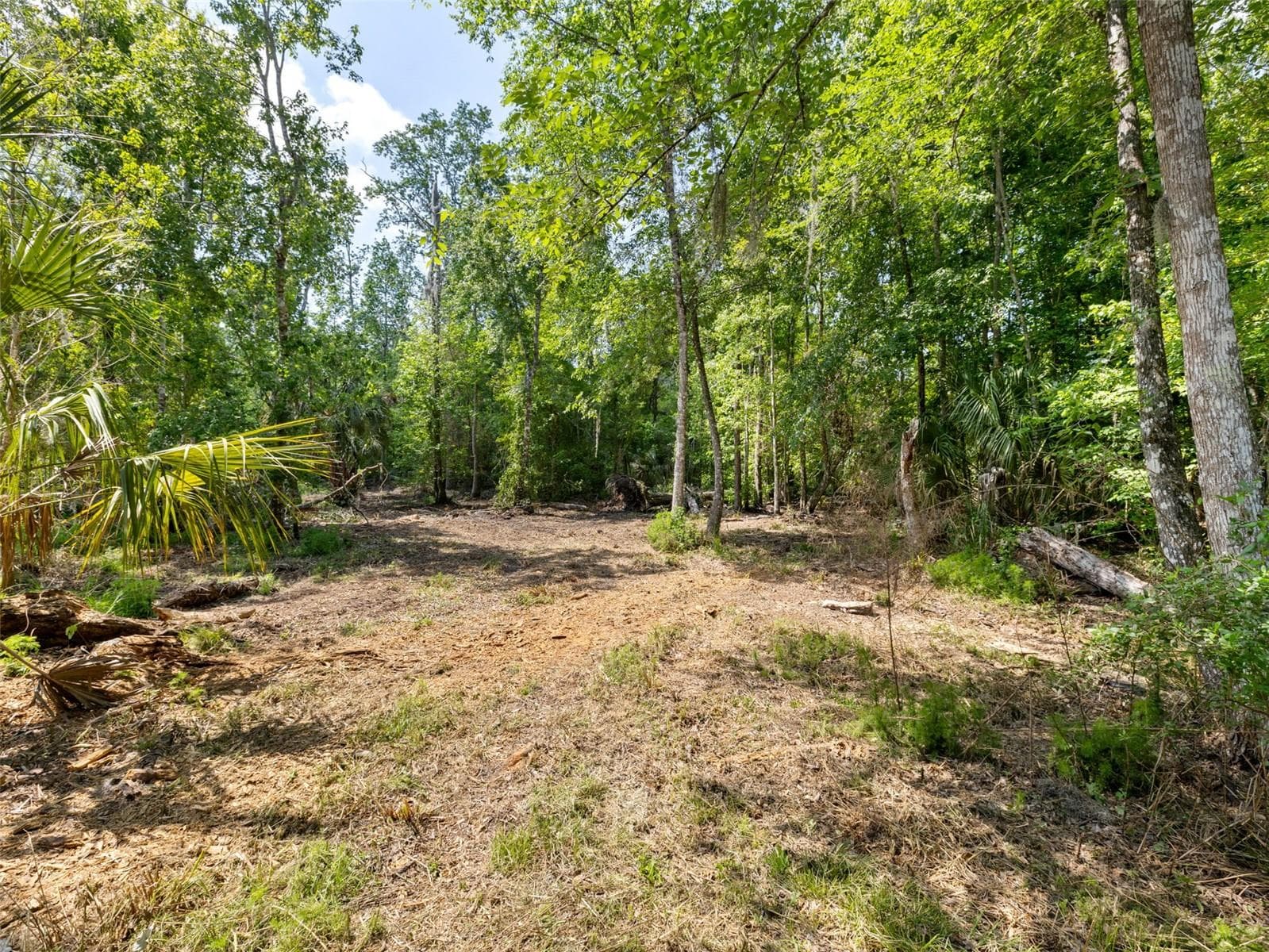 Land at 0 MUDDY WATER TRL, THONOTOSASSA, photo 9 of 34