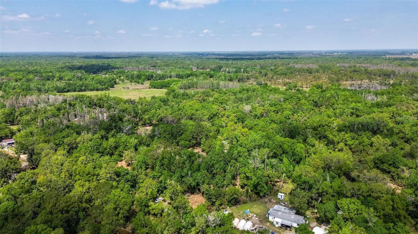 Land at 0 MUDDY WATER TRL, THONOTOSASSA, photo 11 of 34