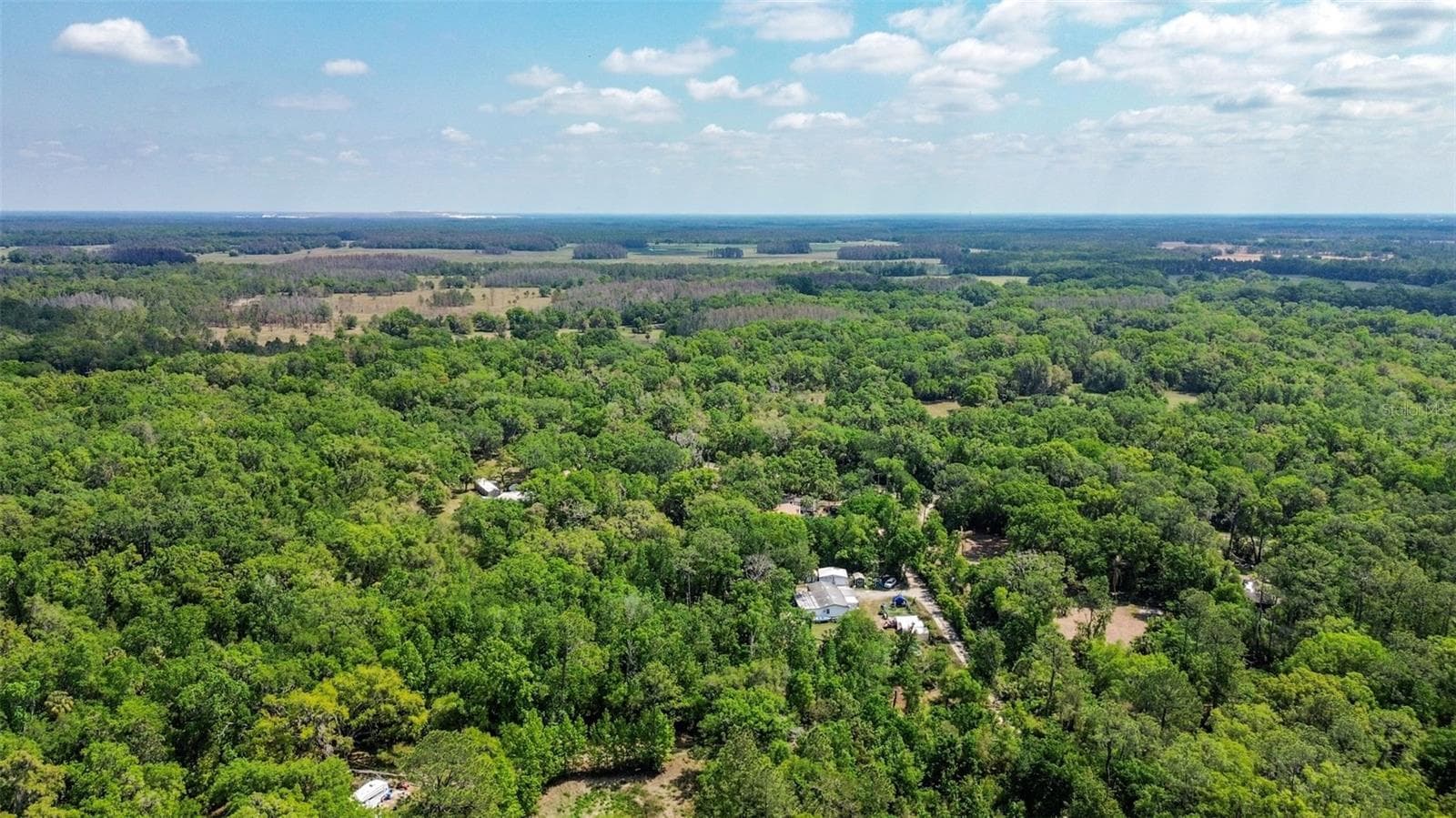Land at 0 MUDDY WATER TRL, THONOTOSASSA, photo 16 of 34