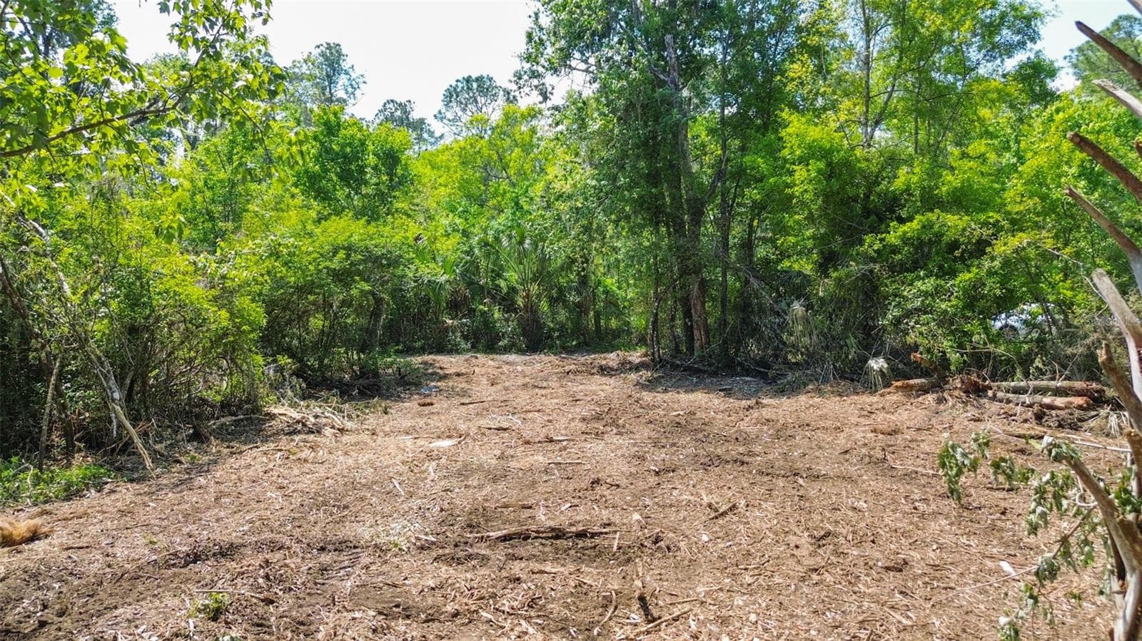 Land at 0 MUDDY WATER TRL, THONOTOSASSA, photo 21 of 34