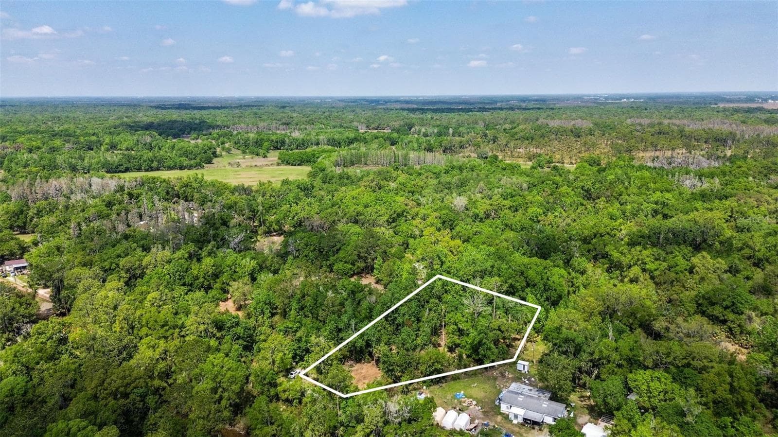 Land at 0 MUDDY WATER TRL, THONOTOSASSA, photo 23 of 34