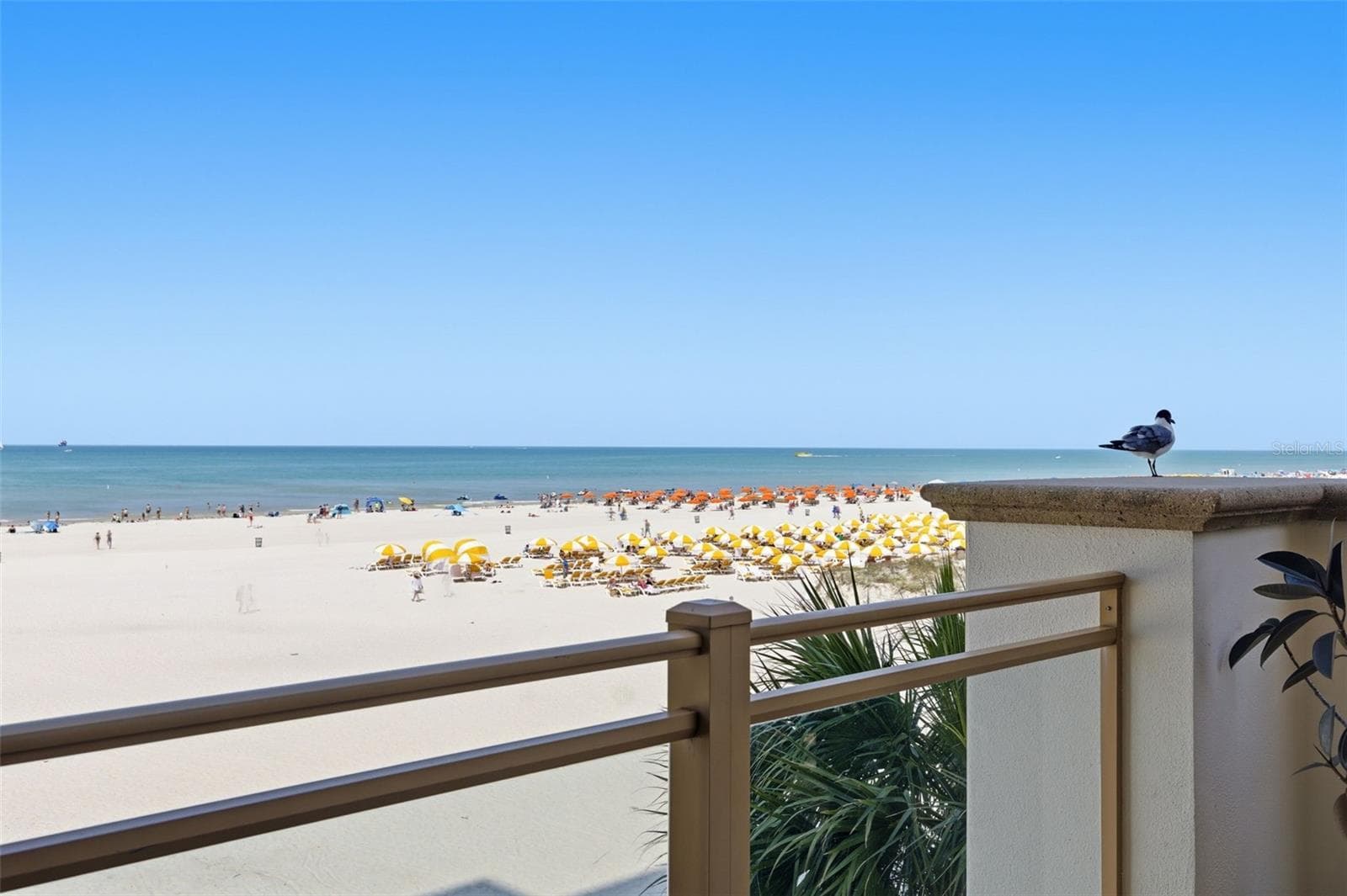 Condominium at 11 BAYMONT ST #302, CLEARWATER BEACH, photo 43 of 84
